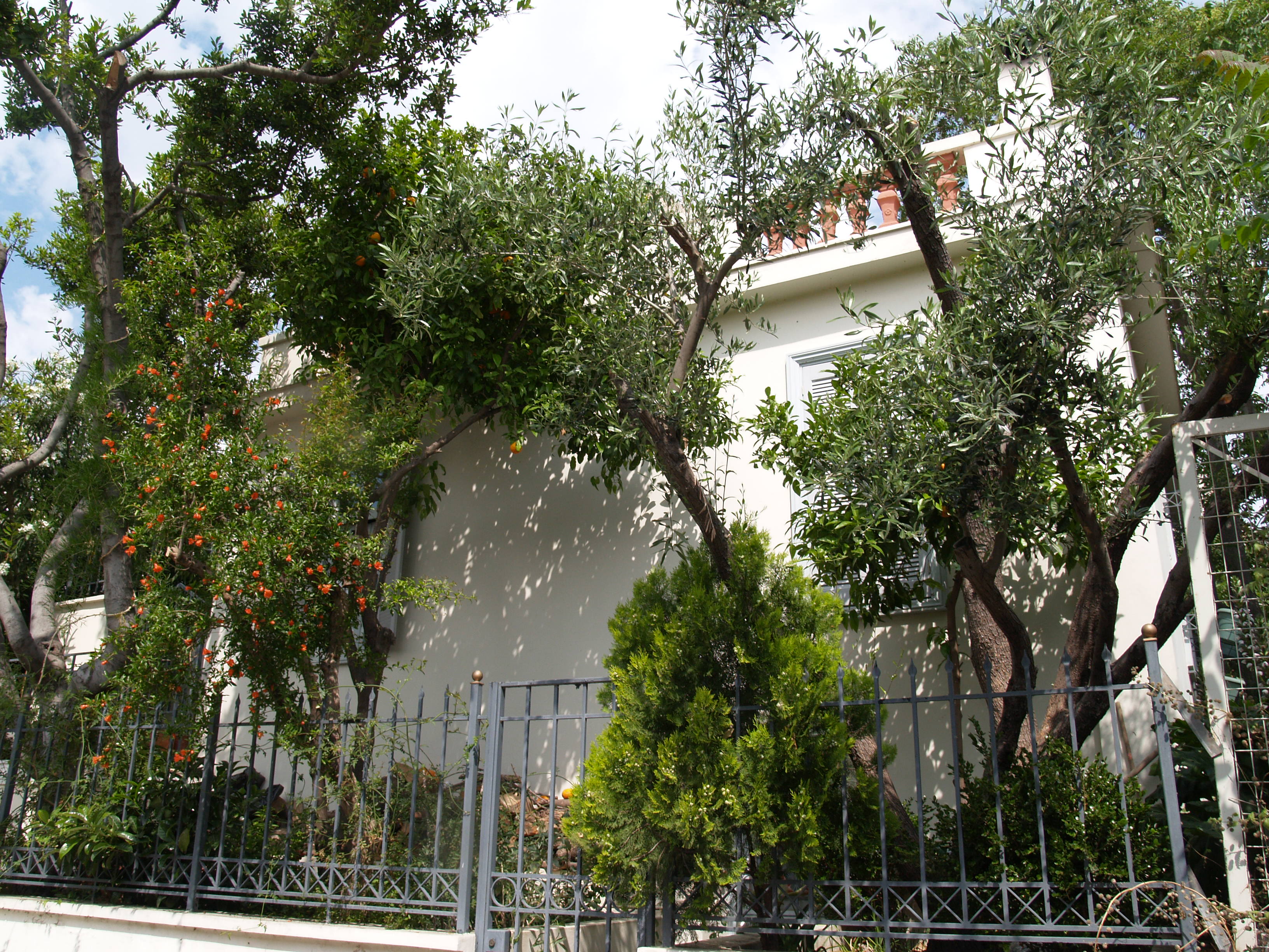 Γενική πλάγιας όψης