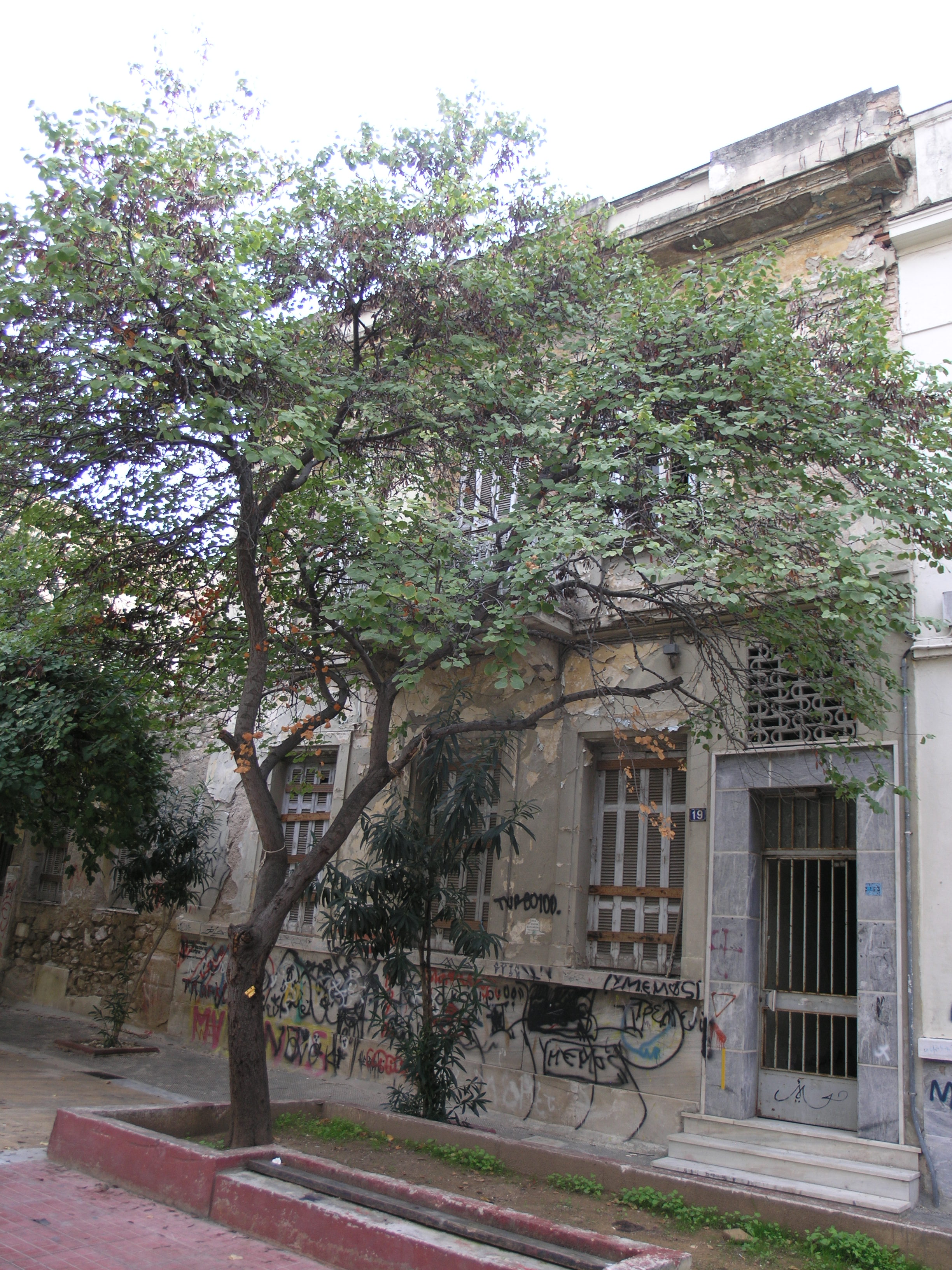 Γενική κύριας όψης