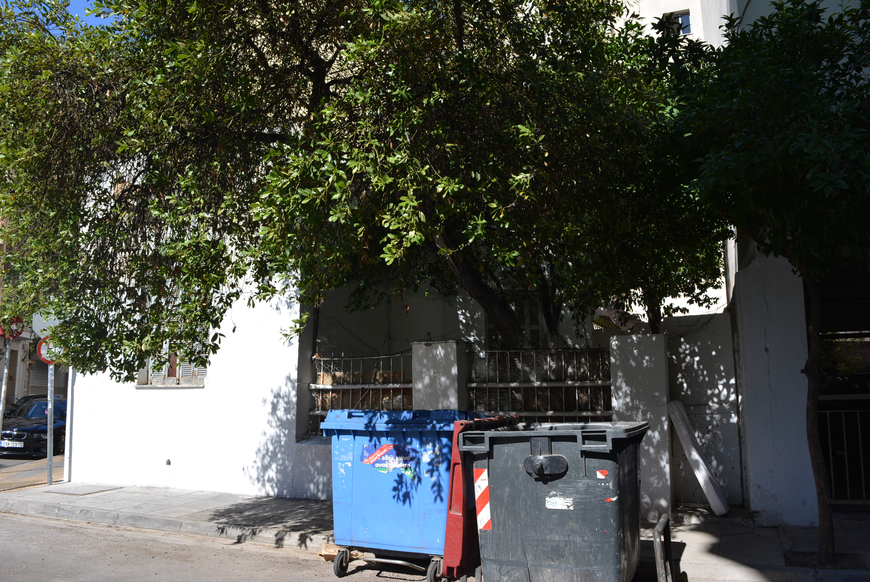 Γενική πλαϊνής όψης