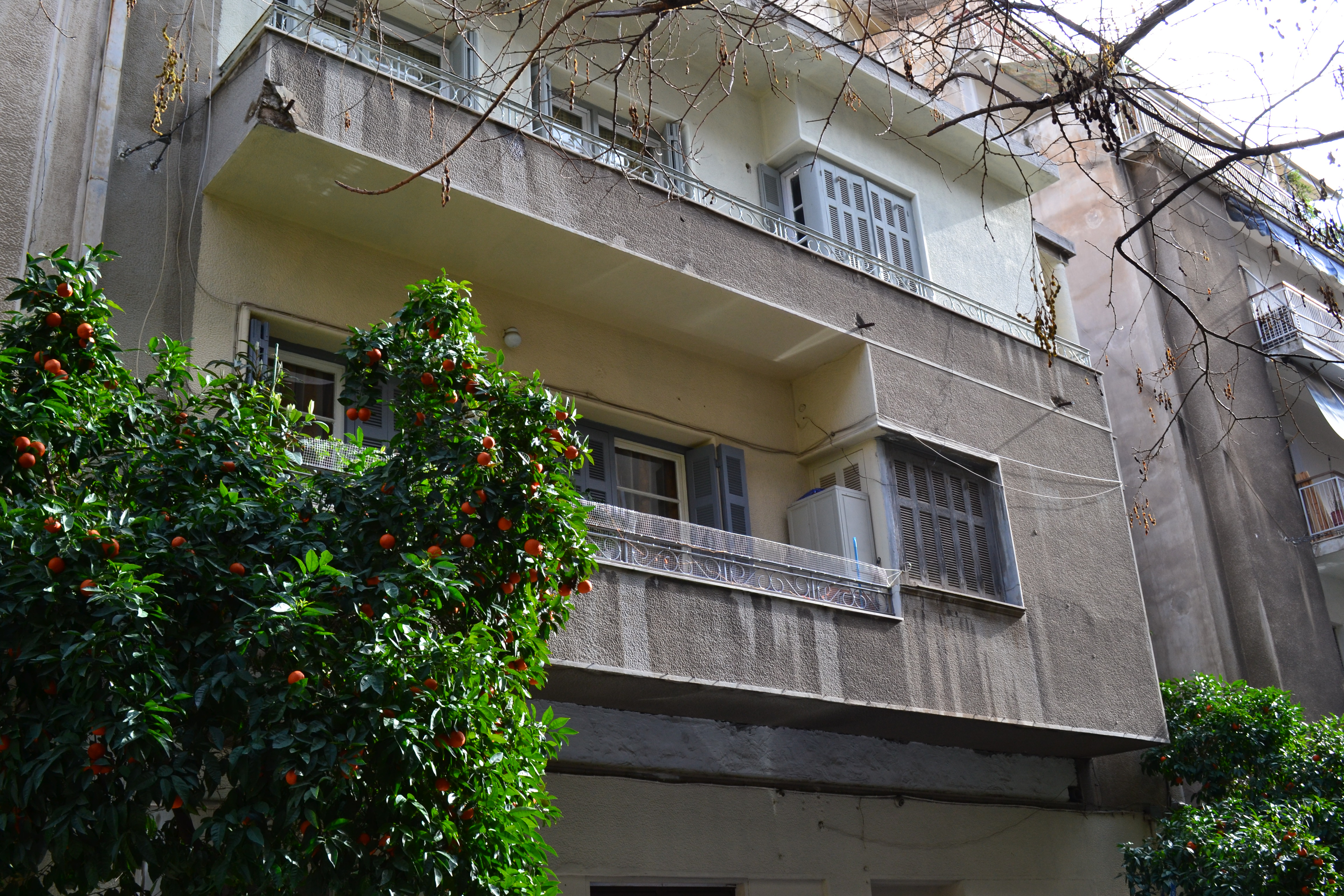 Λεπτομέρεια κύριας όψης