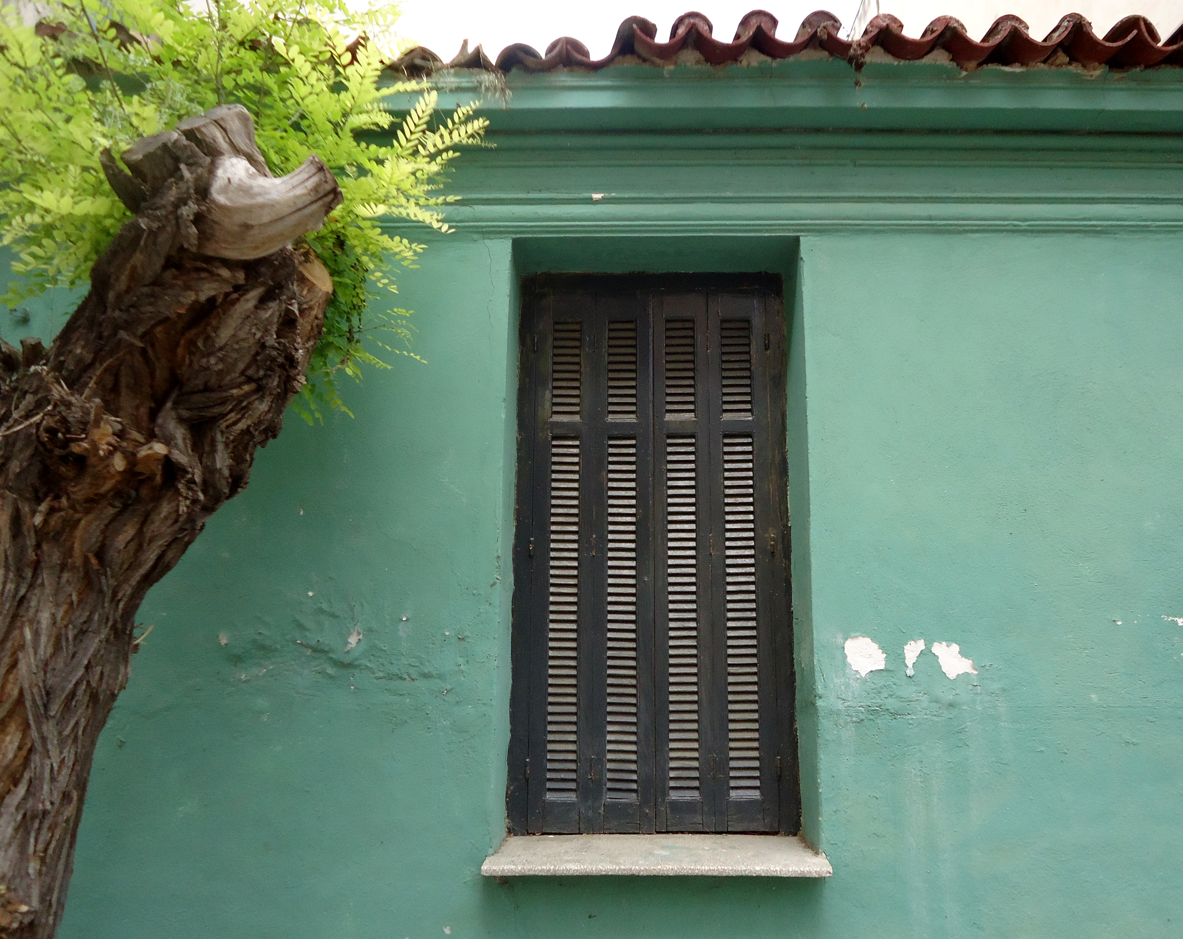 View of the window