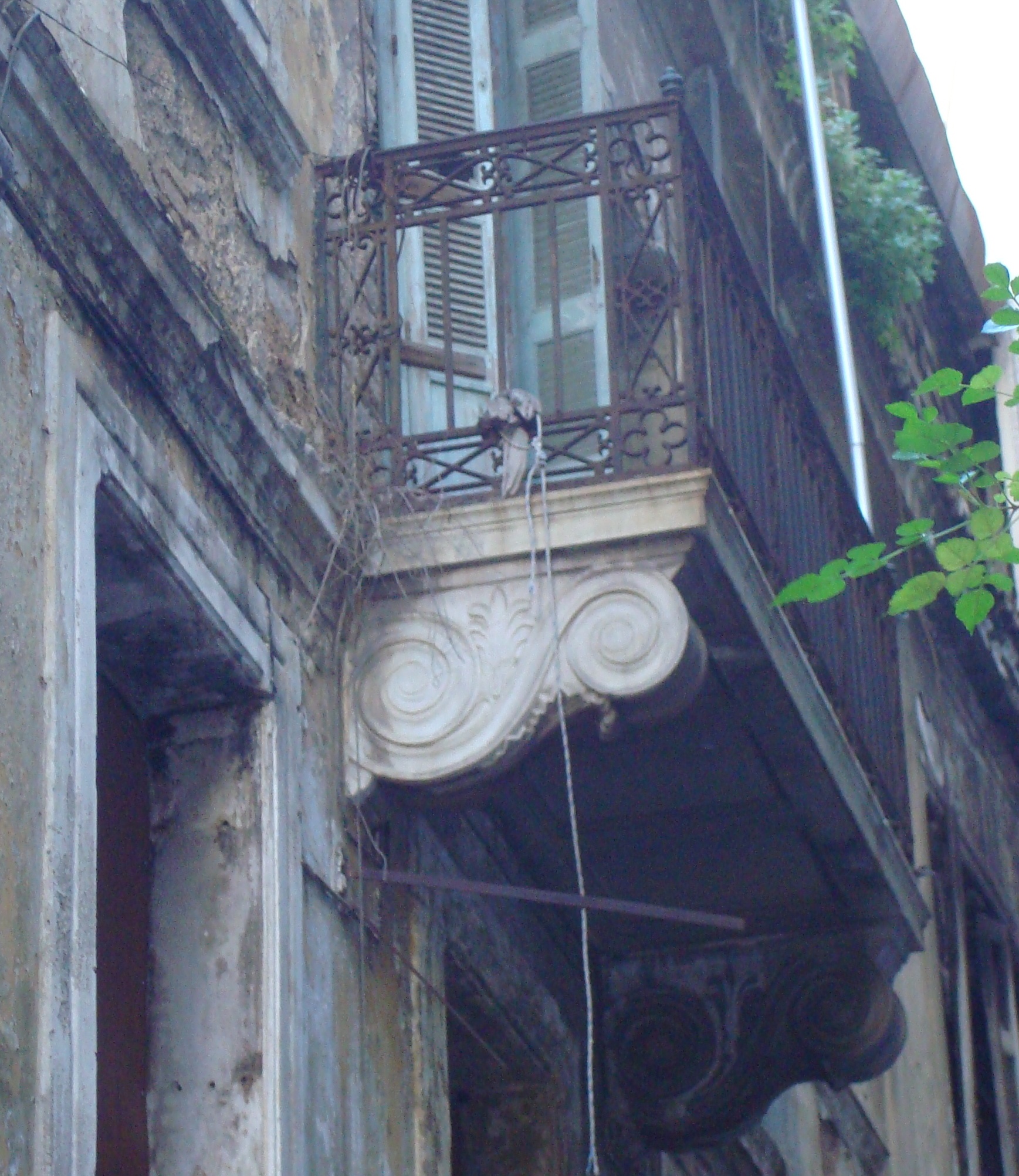 Γενική εξώστη