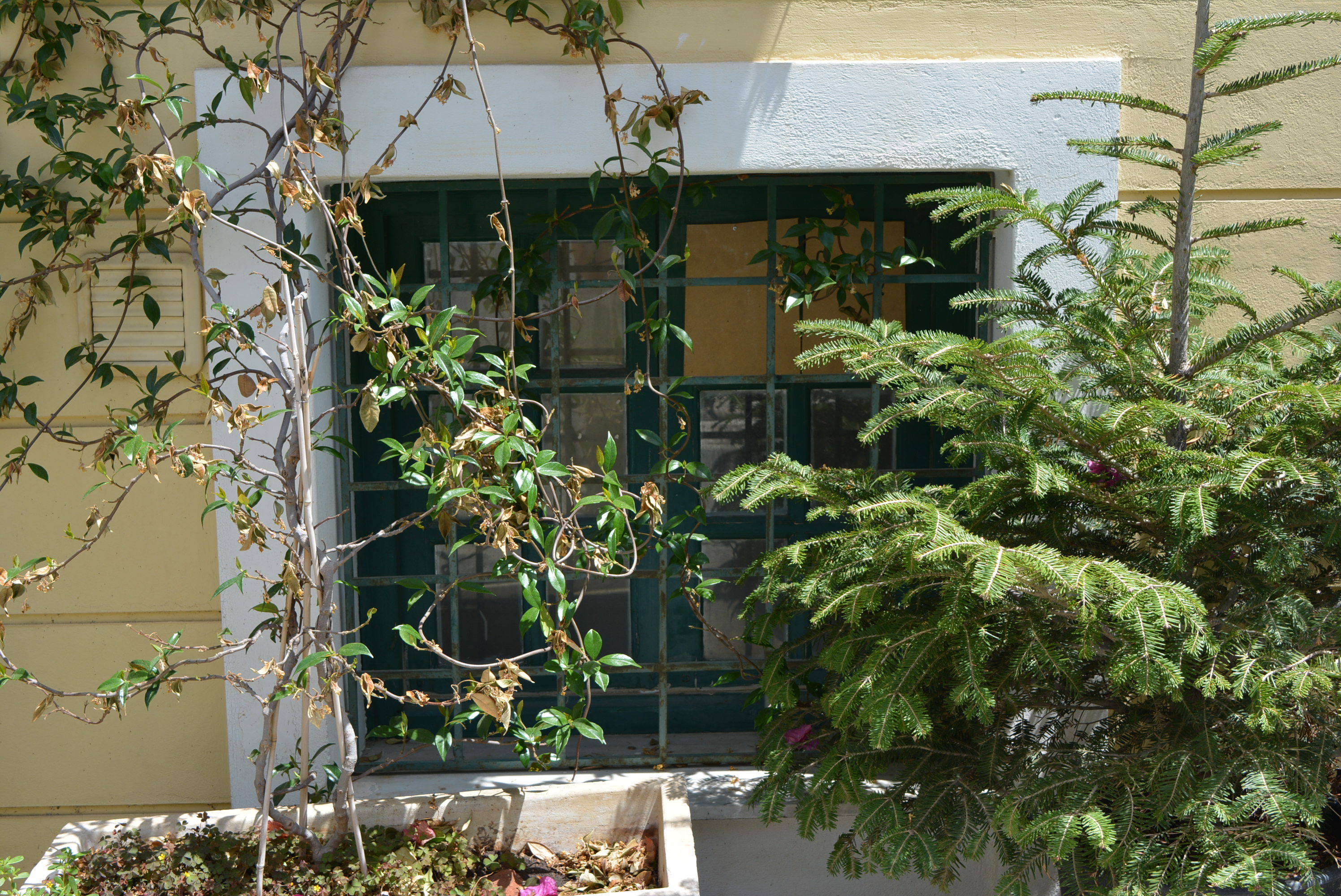 Γενική παραθύρου υπογείου