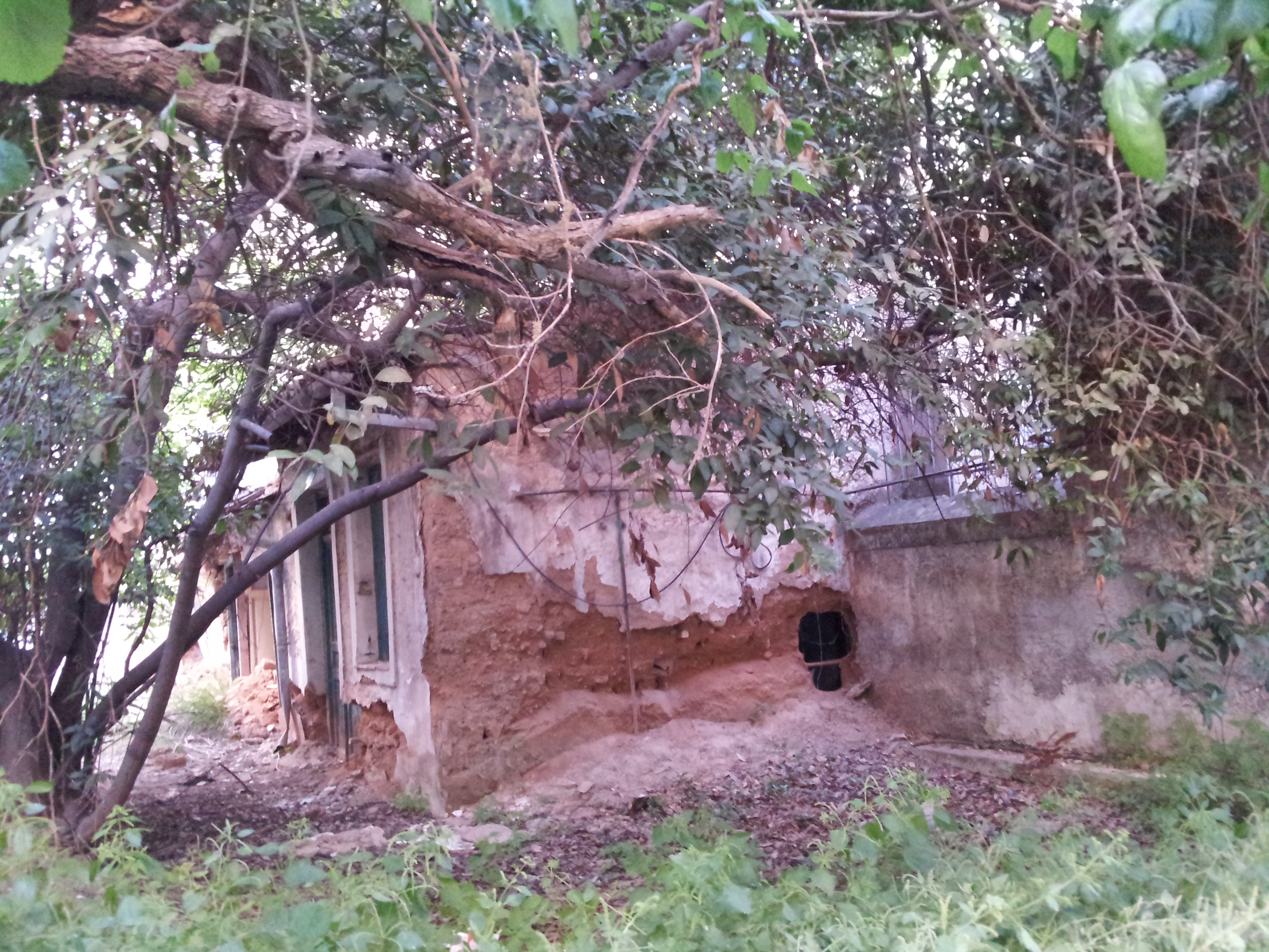 Γενική όψης (2013)