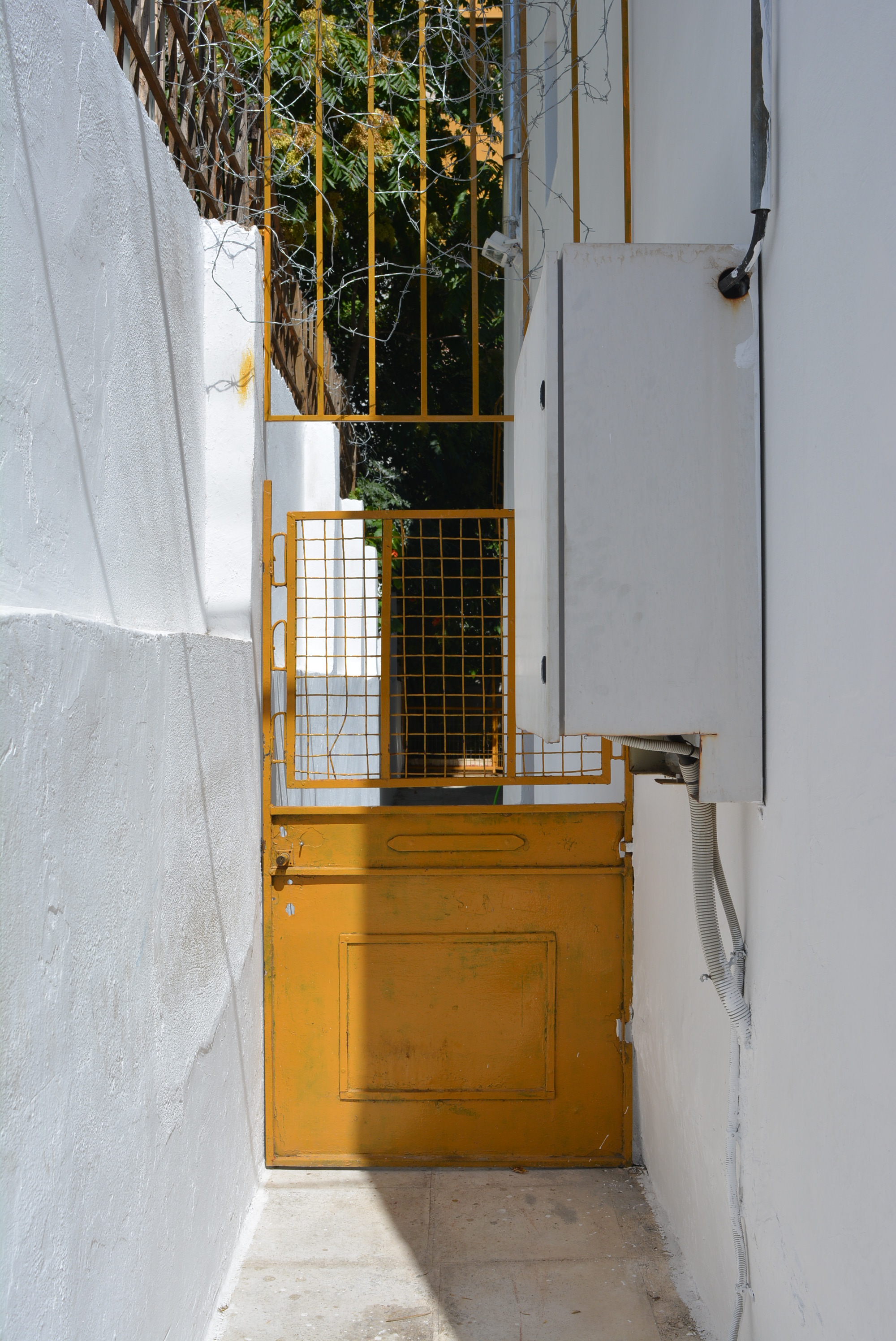 Γενική αυλόθυρας
