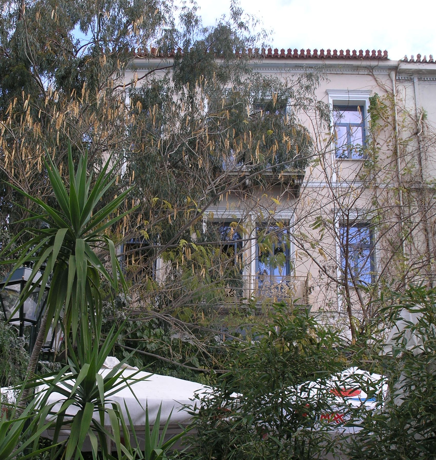 Γενική κύριας όψης (2015)