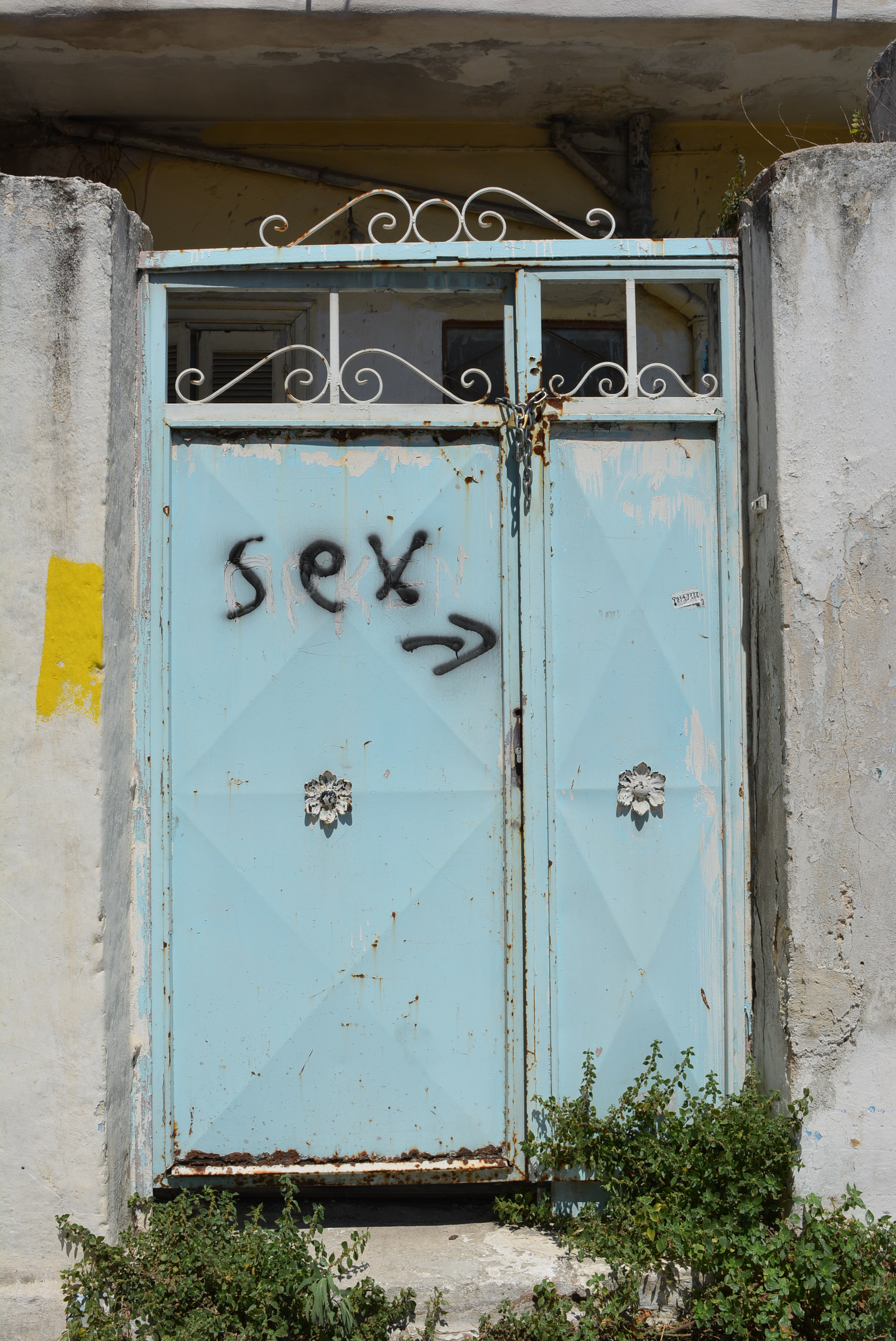 Γενική αυλόθυρας