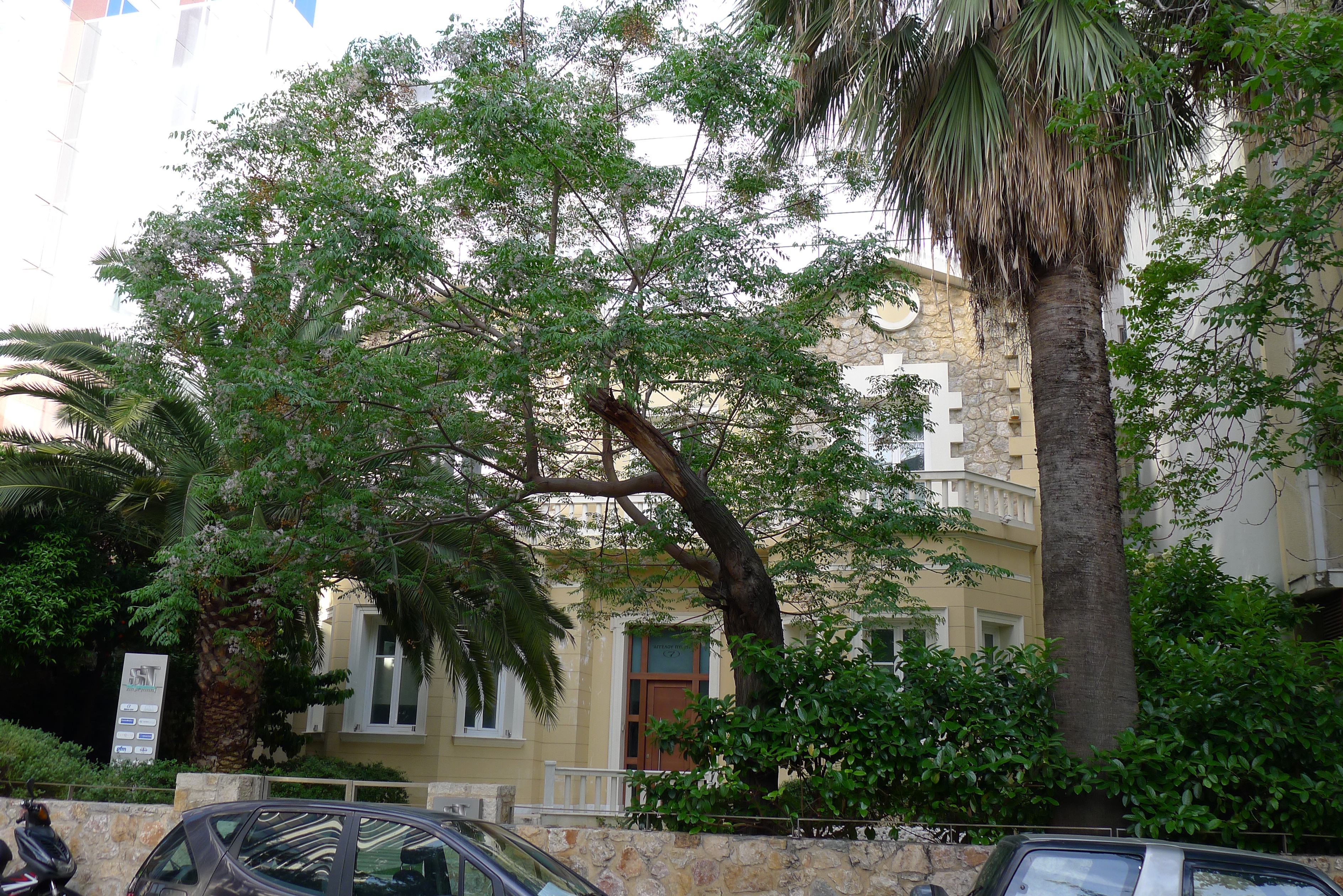 Γενική κτηρίου (2014)