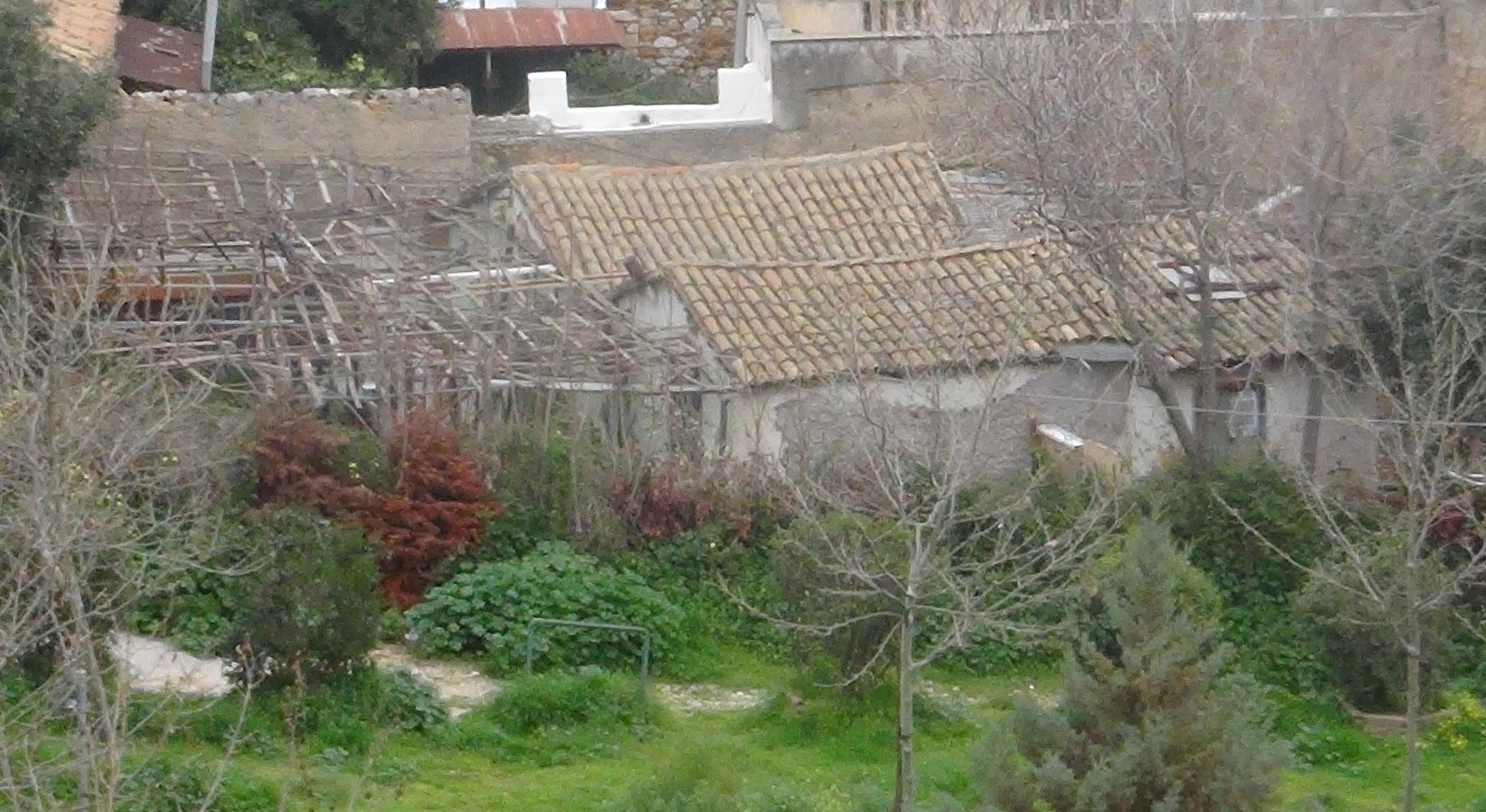 General view (2014)