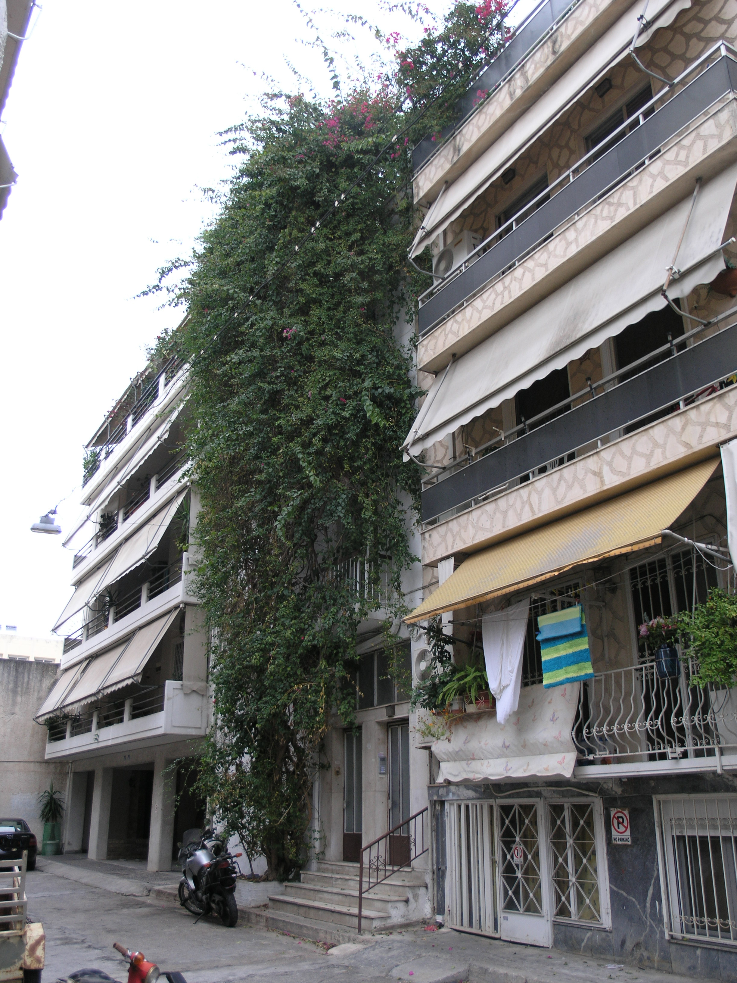 Γενική κύριας όψης