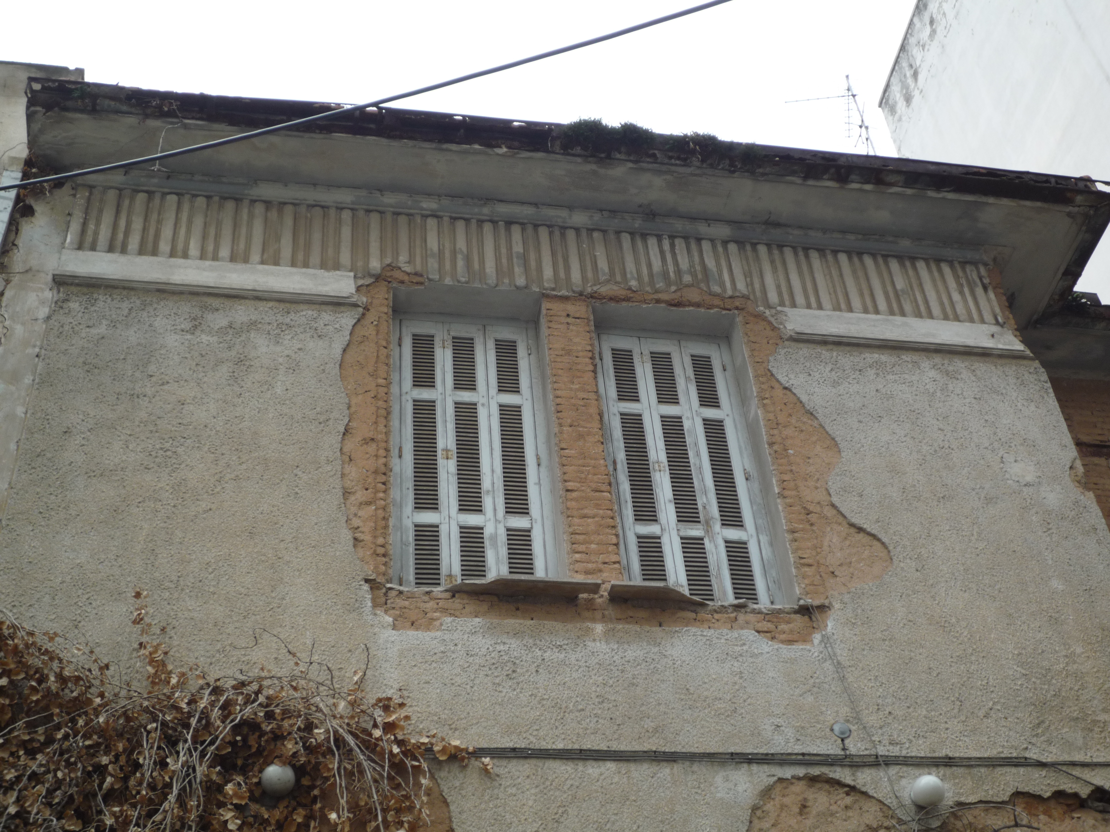 Detail of the facade, windows and cornice (2014)