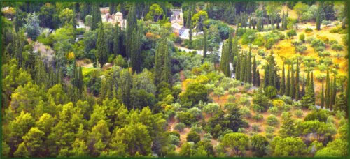 Υμηττός - Αισθητικό δάσος Καισαριανής
(Πηγή: Ε.Ο.Ε)