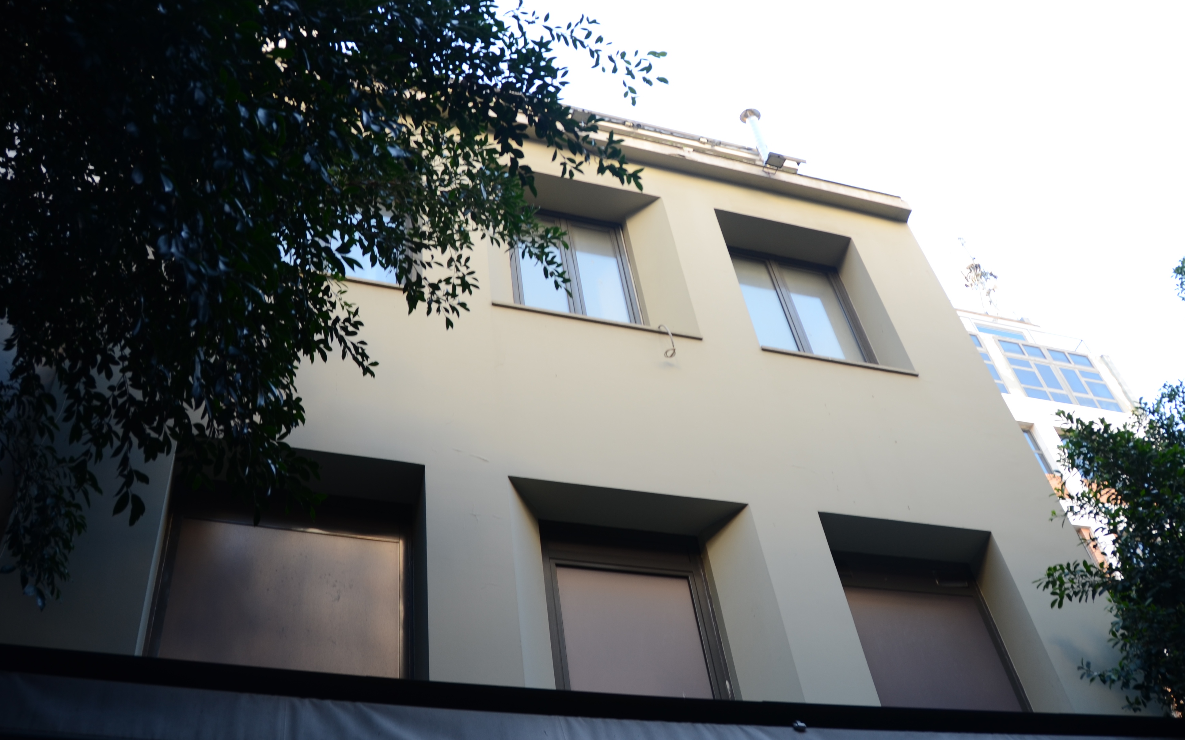 Λεπτομέρεια κύριας όψης