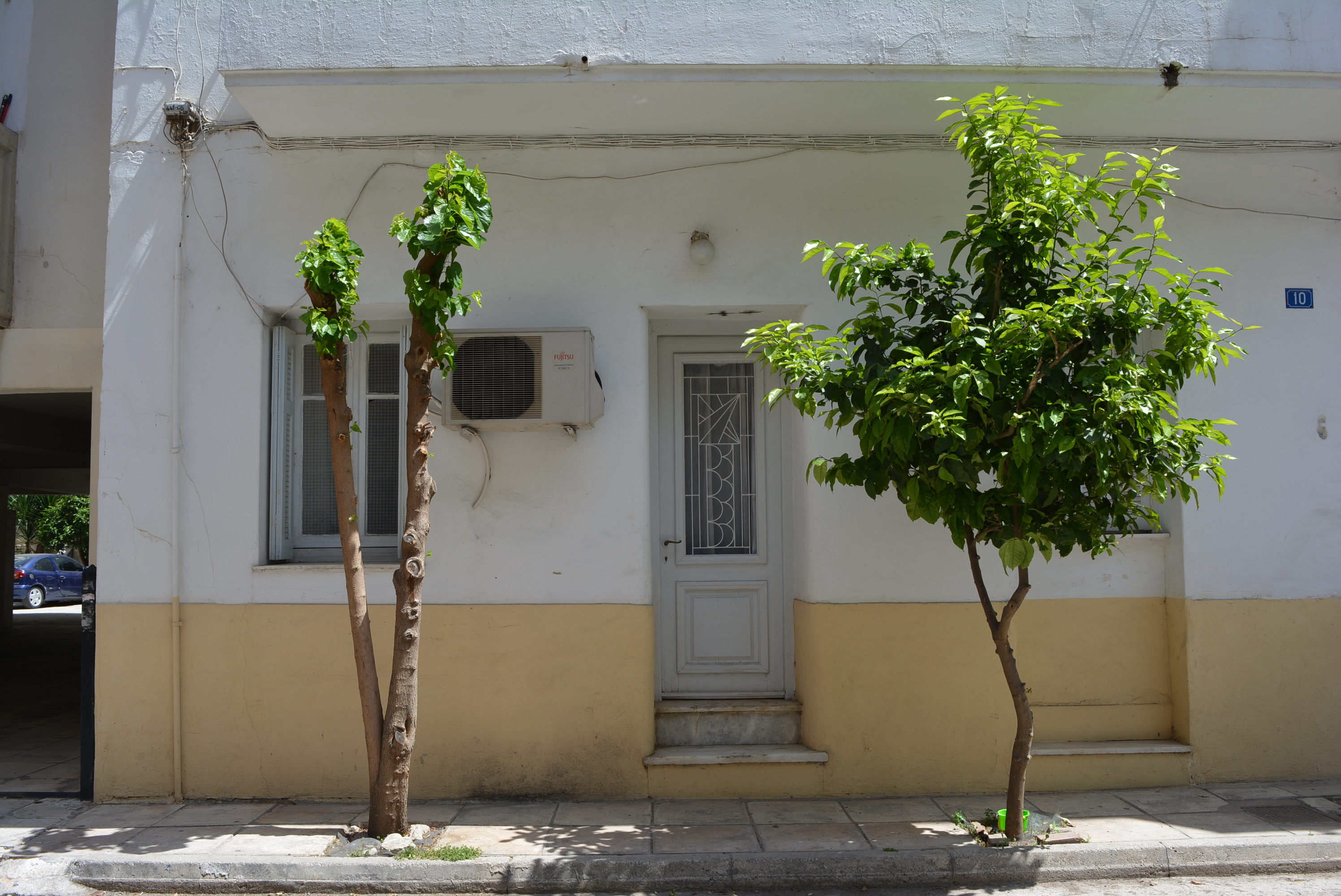 Λεπτομέρεια κύριας όψης