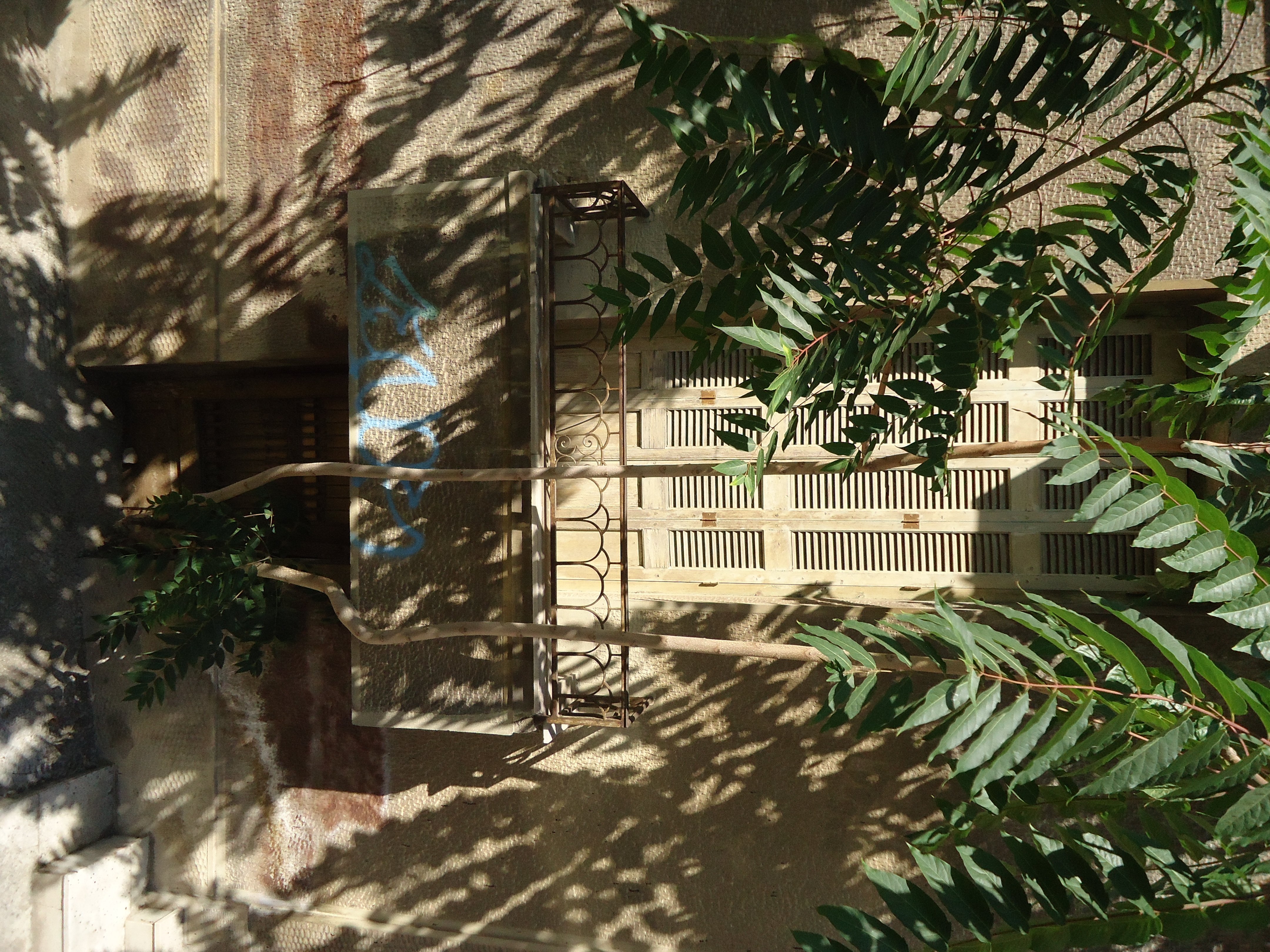 Λεπτομέρεια όψης