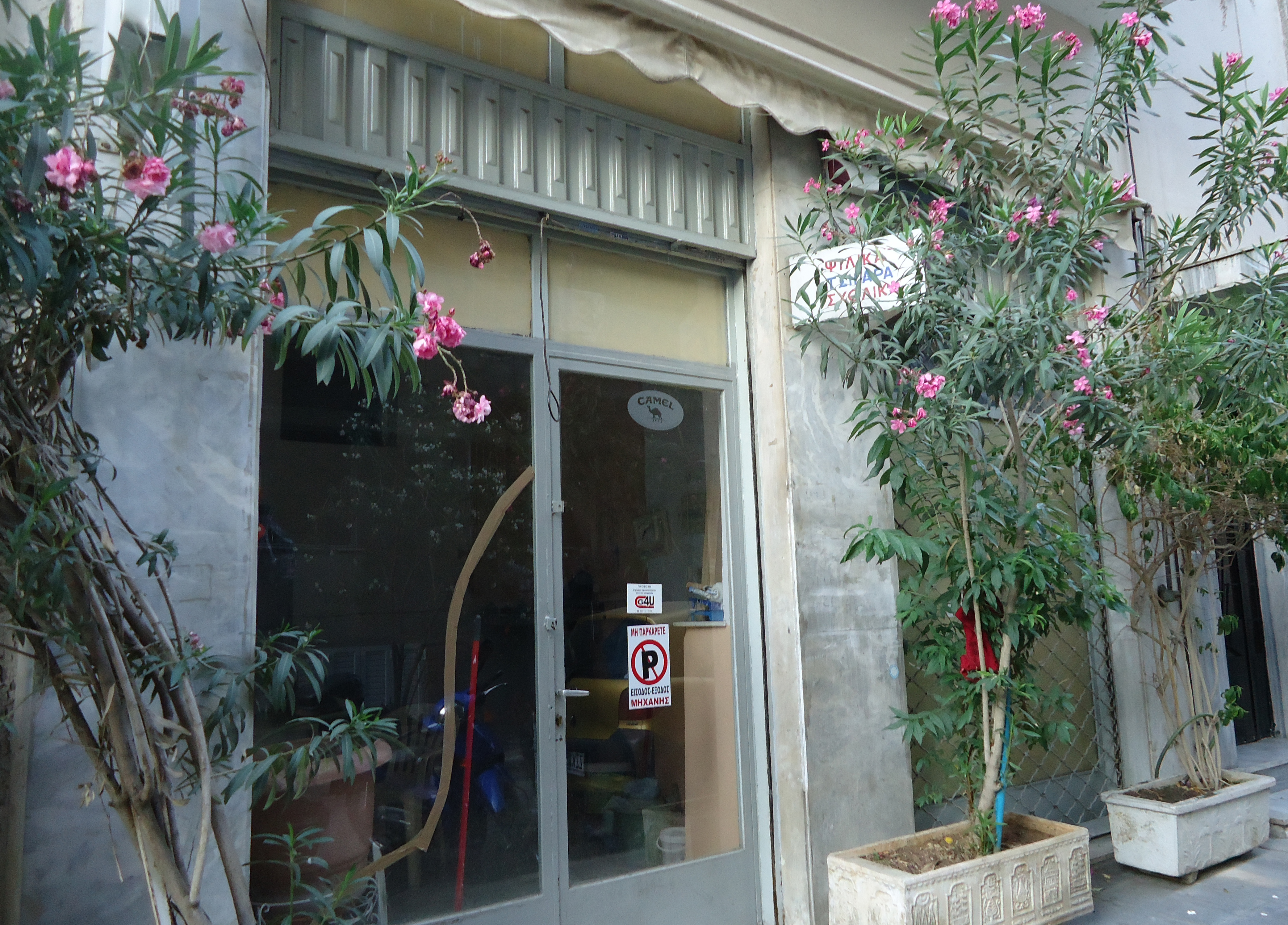 Λεπτομέρεια κύριας όψης