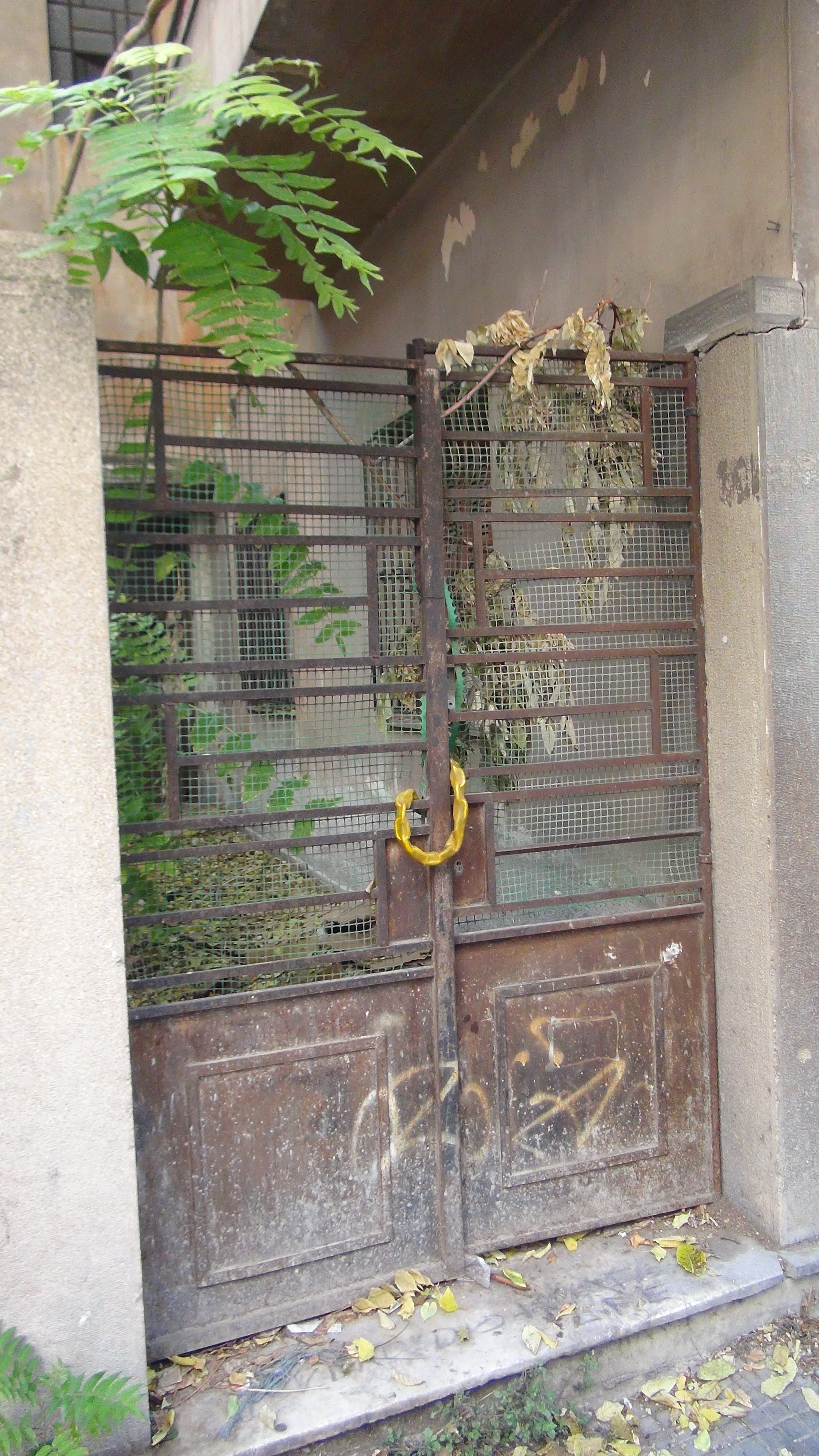 Γενική αυλόθυρας