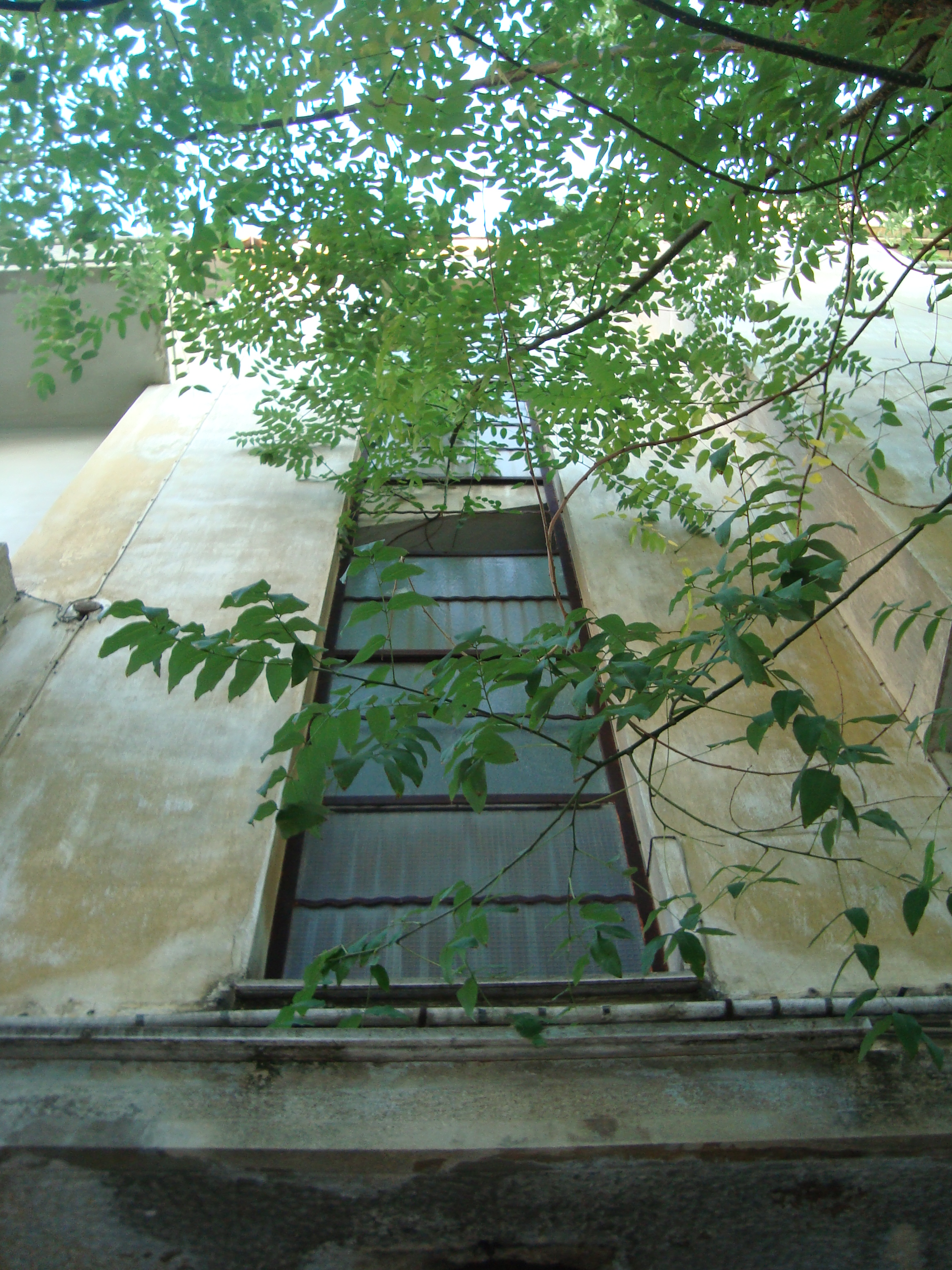 Λεπτομέρεια όψης (2015)