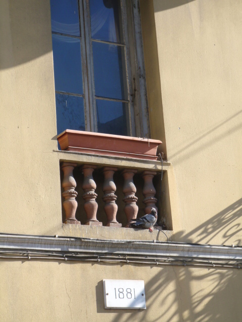Inscription detail