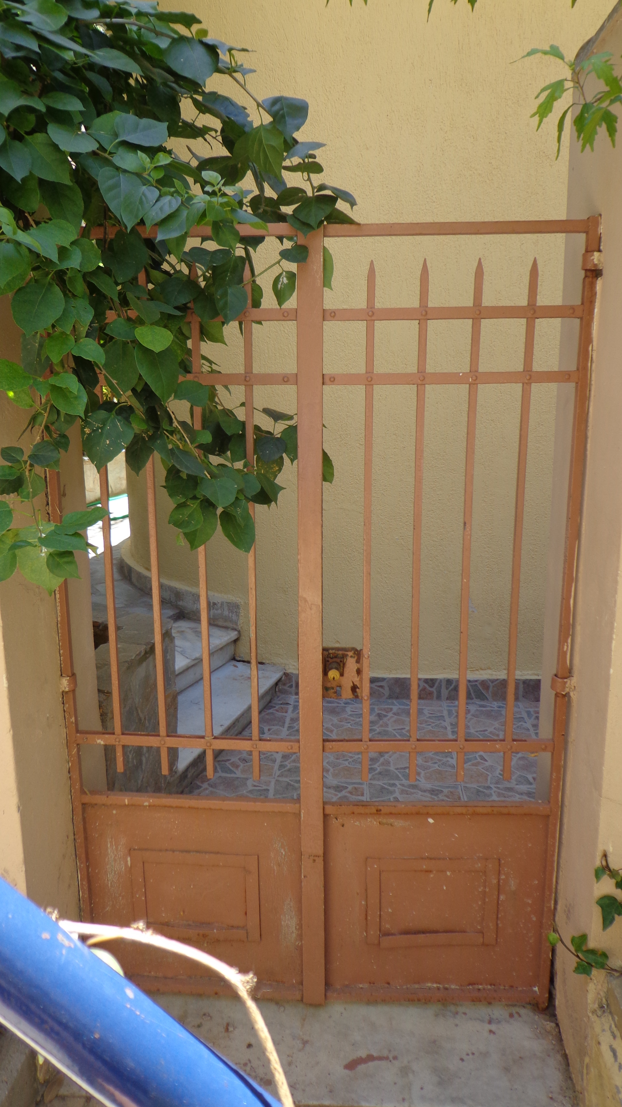 Γενική αυλόθυρας