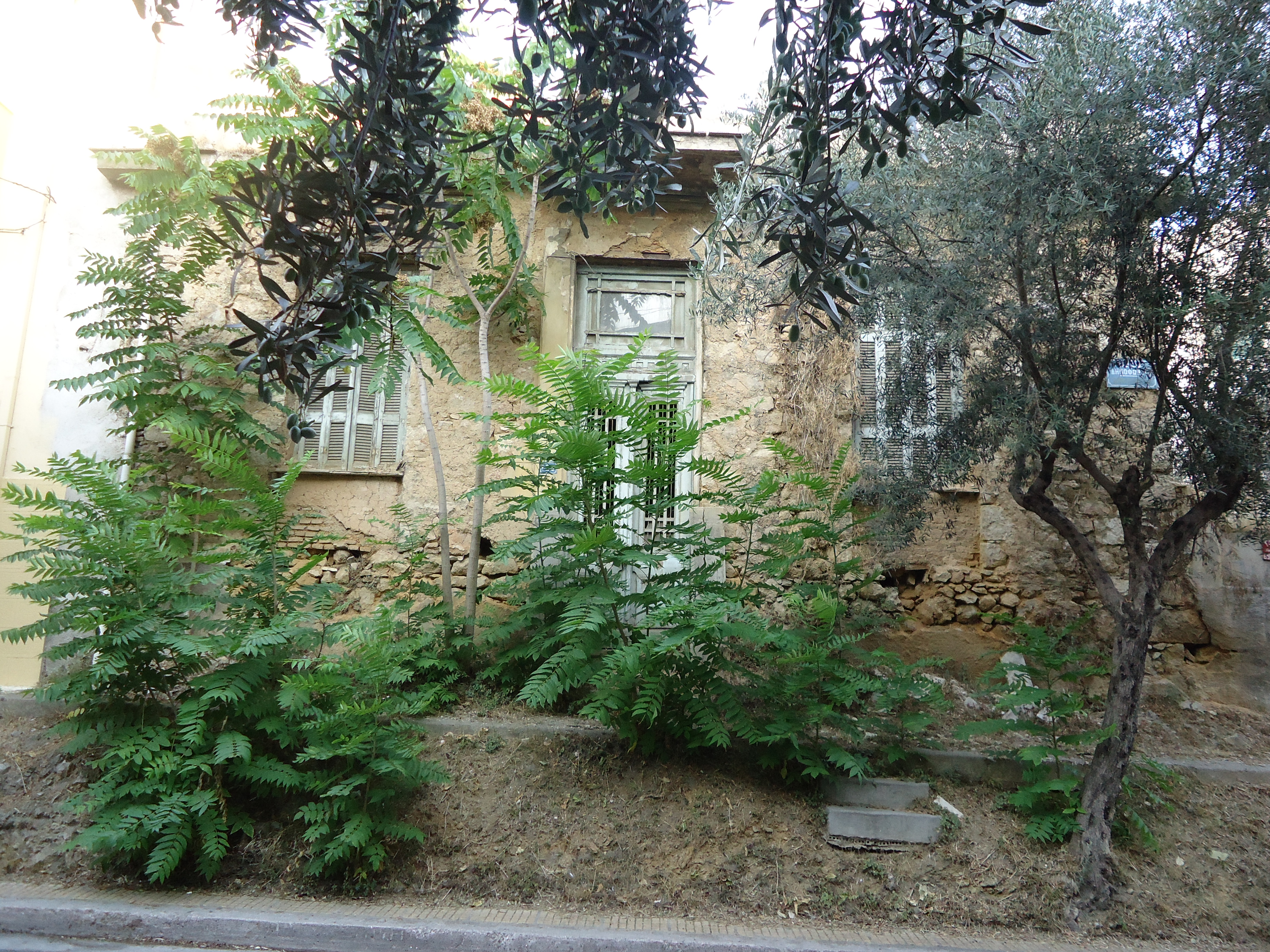 Γενική κύριας όψης