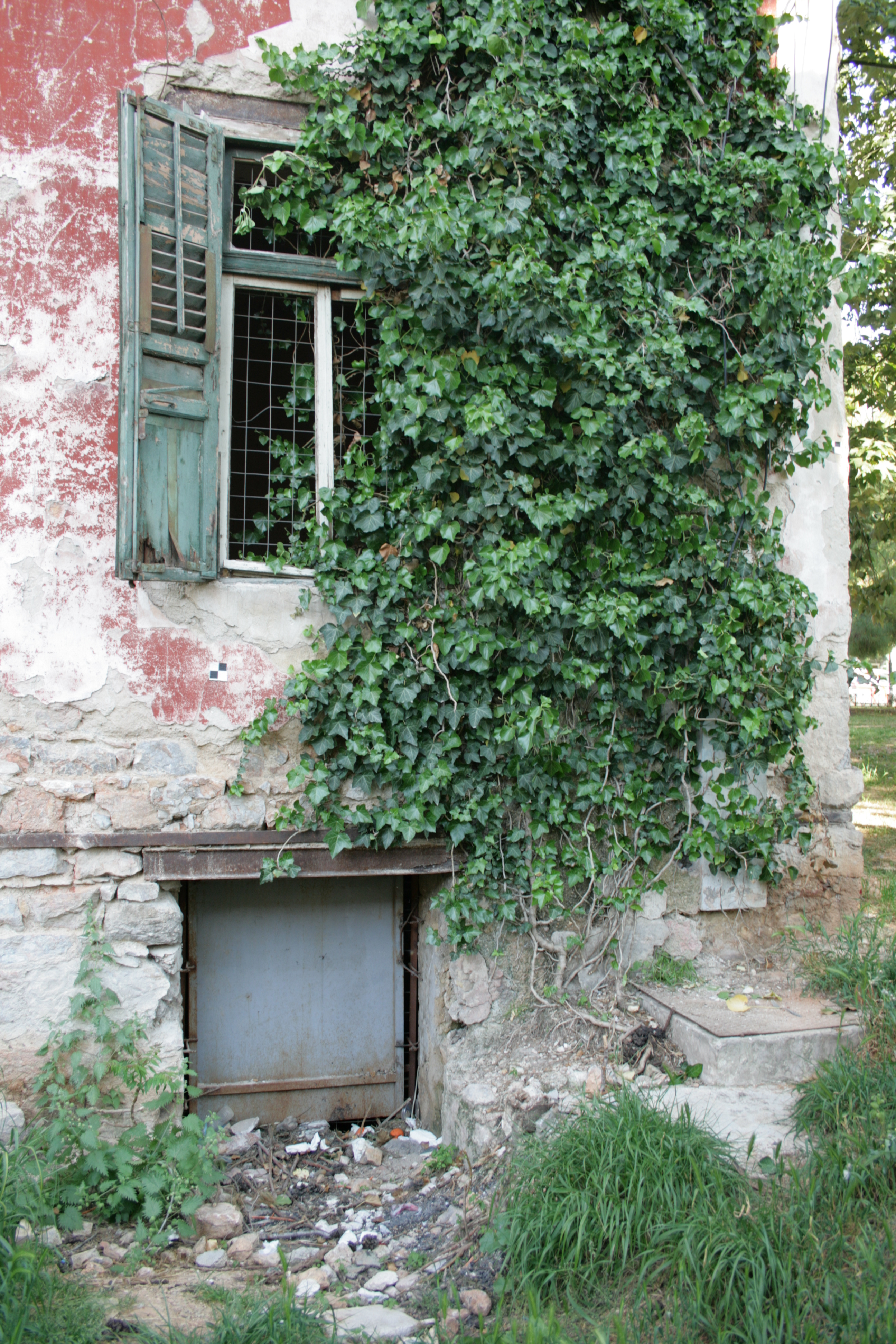 Back wall detail