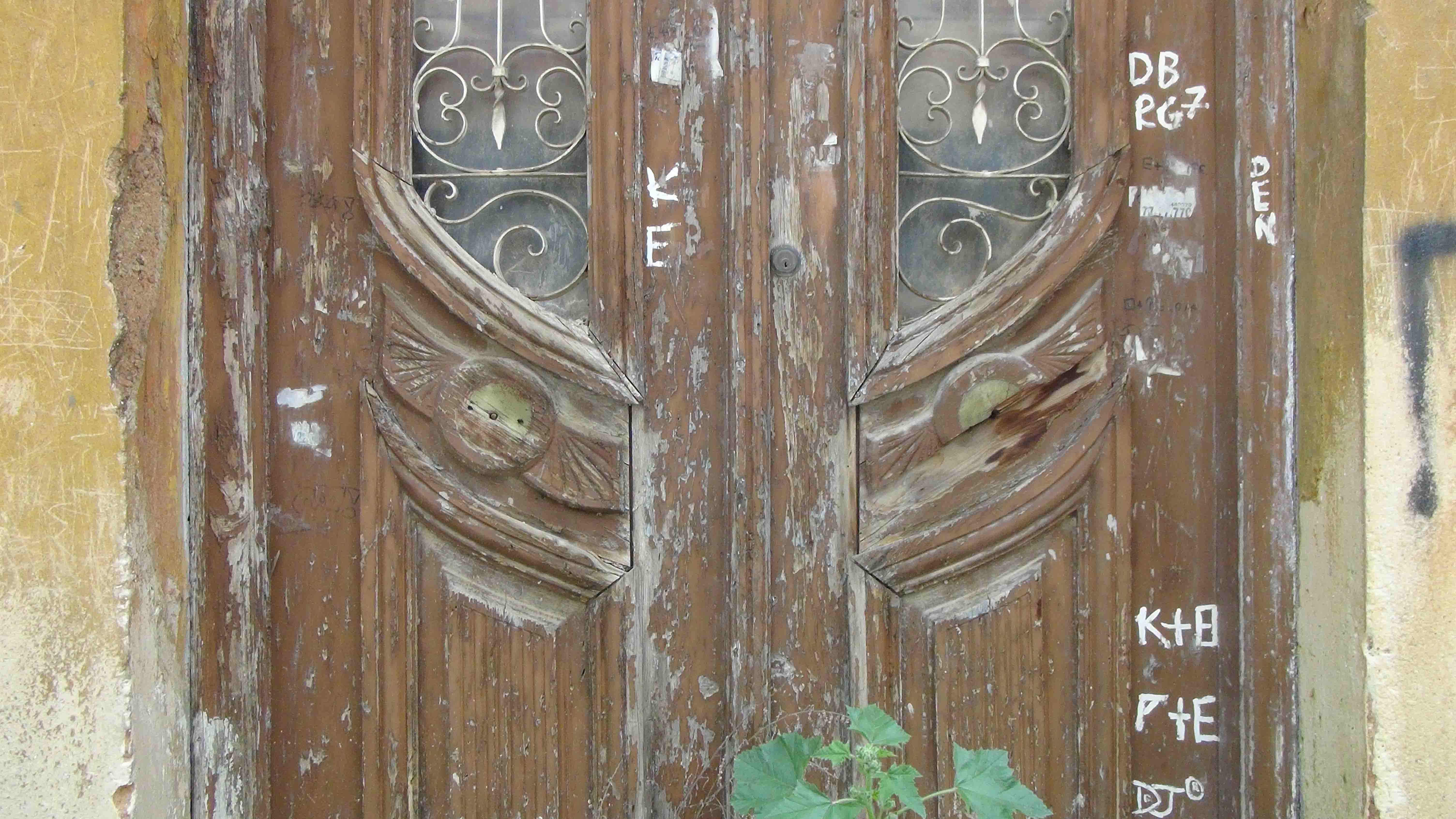 Entrance door - detail