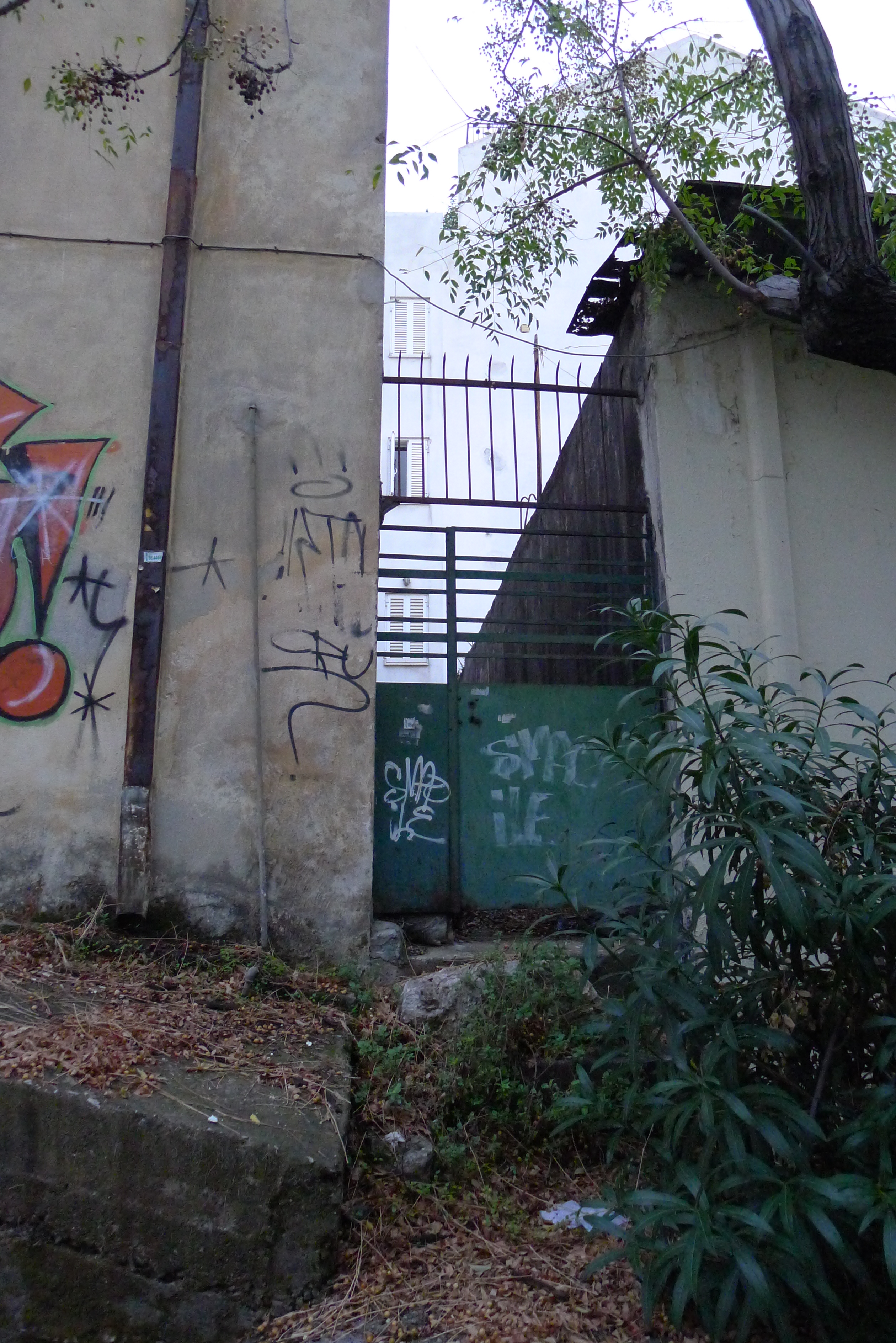Γενική αυλόθυρας