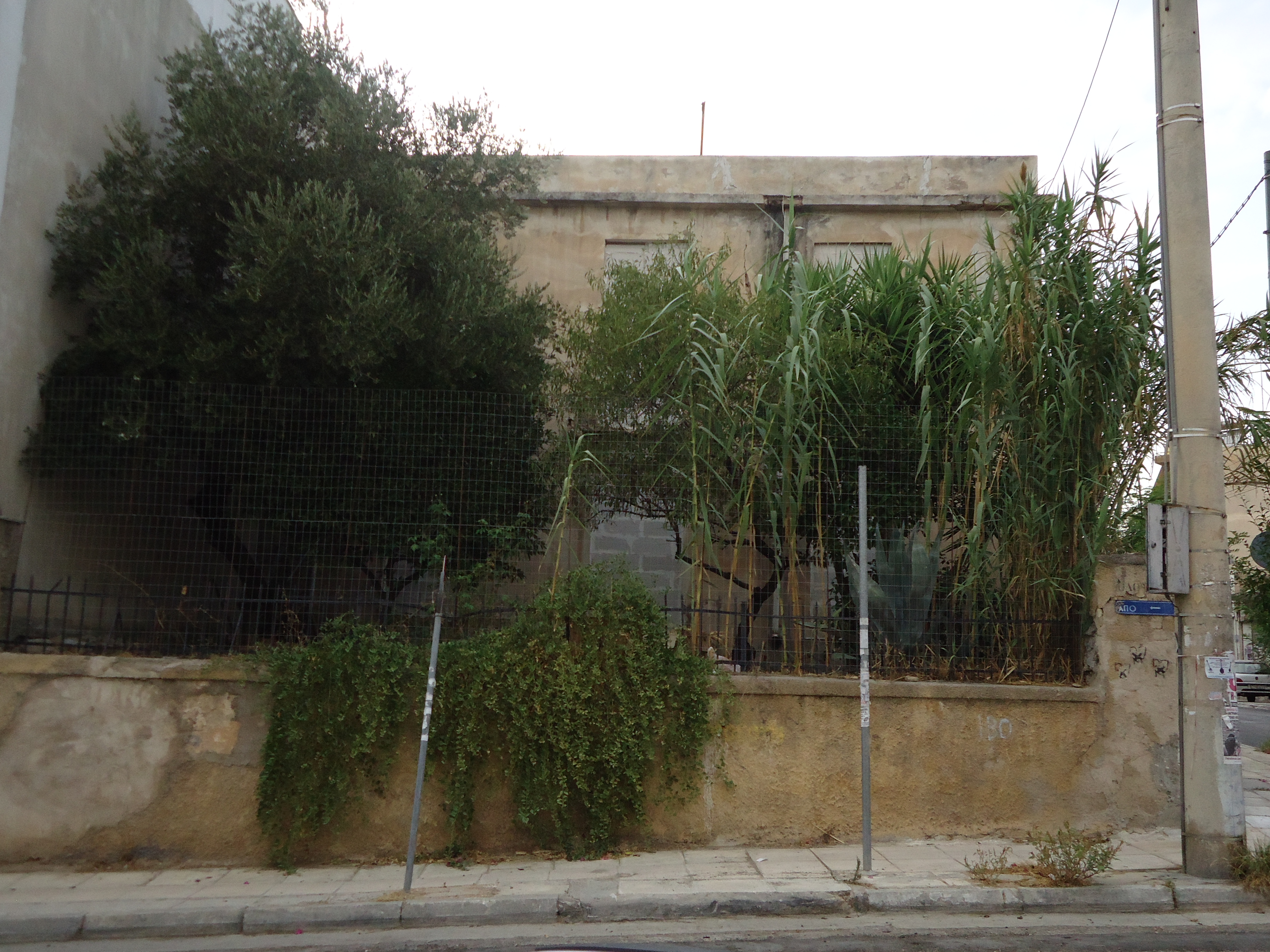 Γενική  πλαϊνής όψης