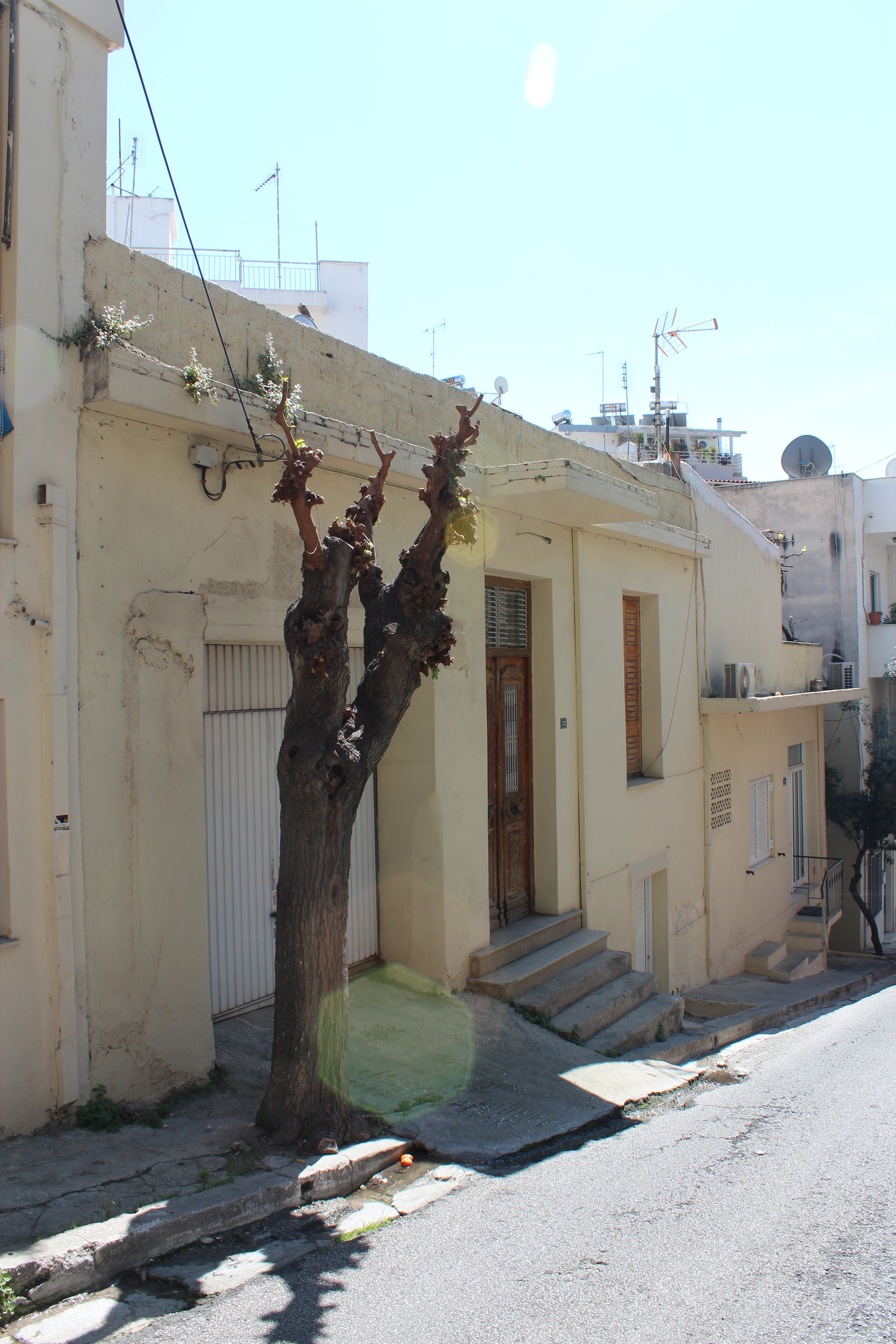 Γενική κύριας όψης