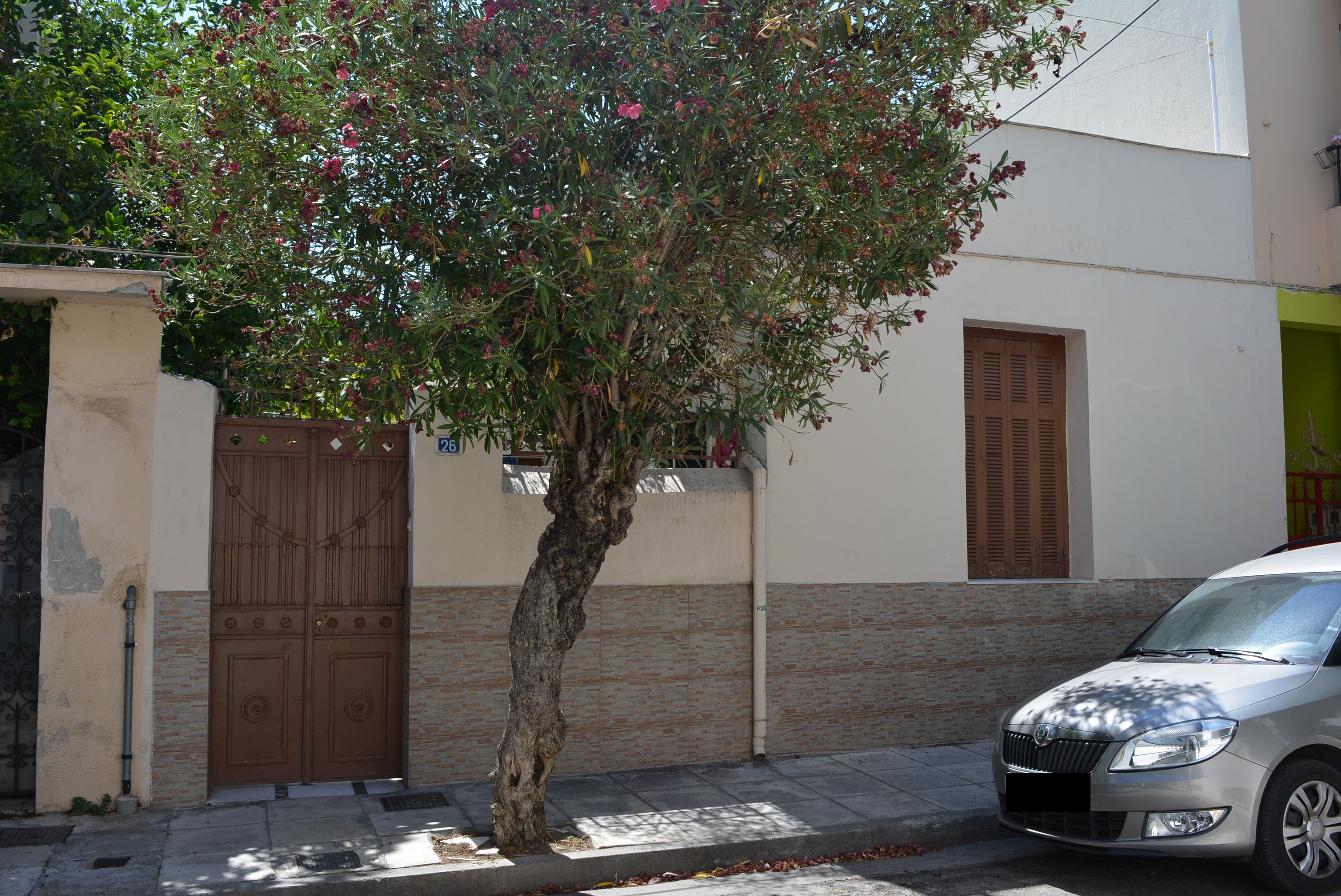 Γενική κύριας όψης