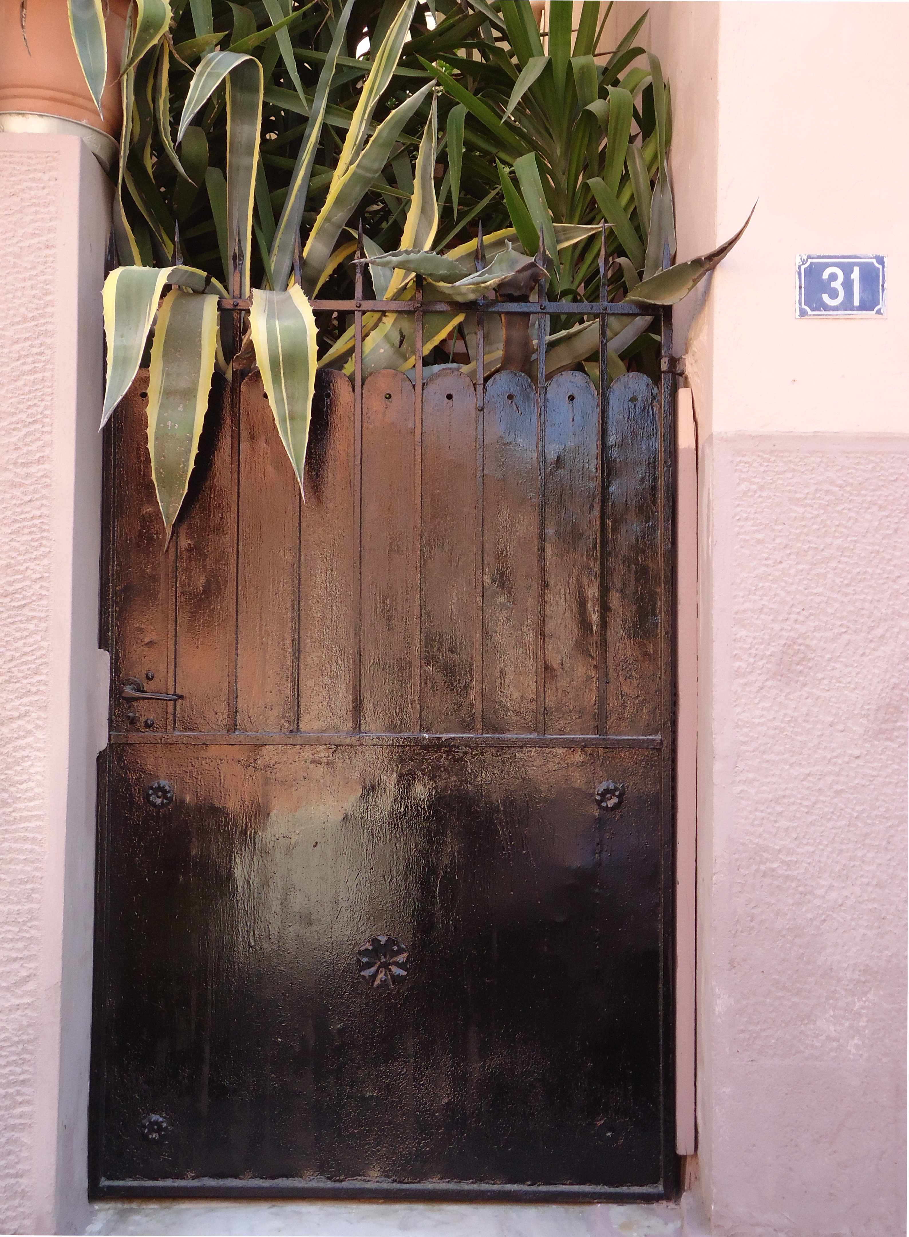 View of the yard door