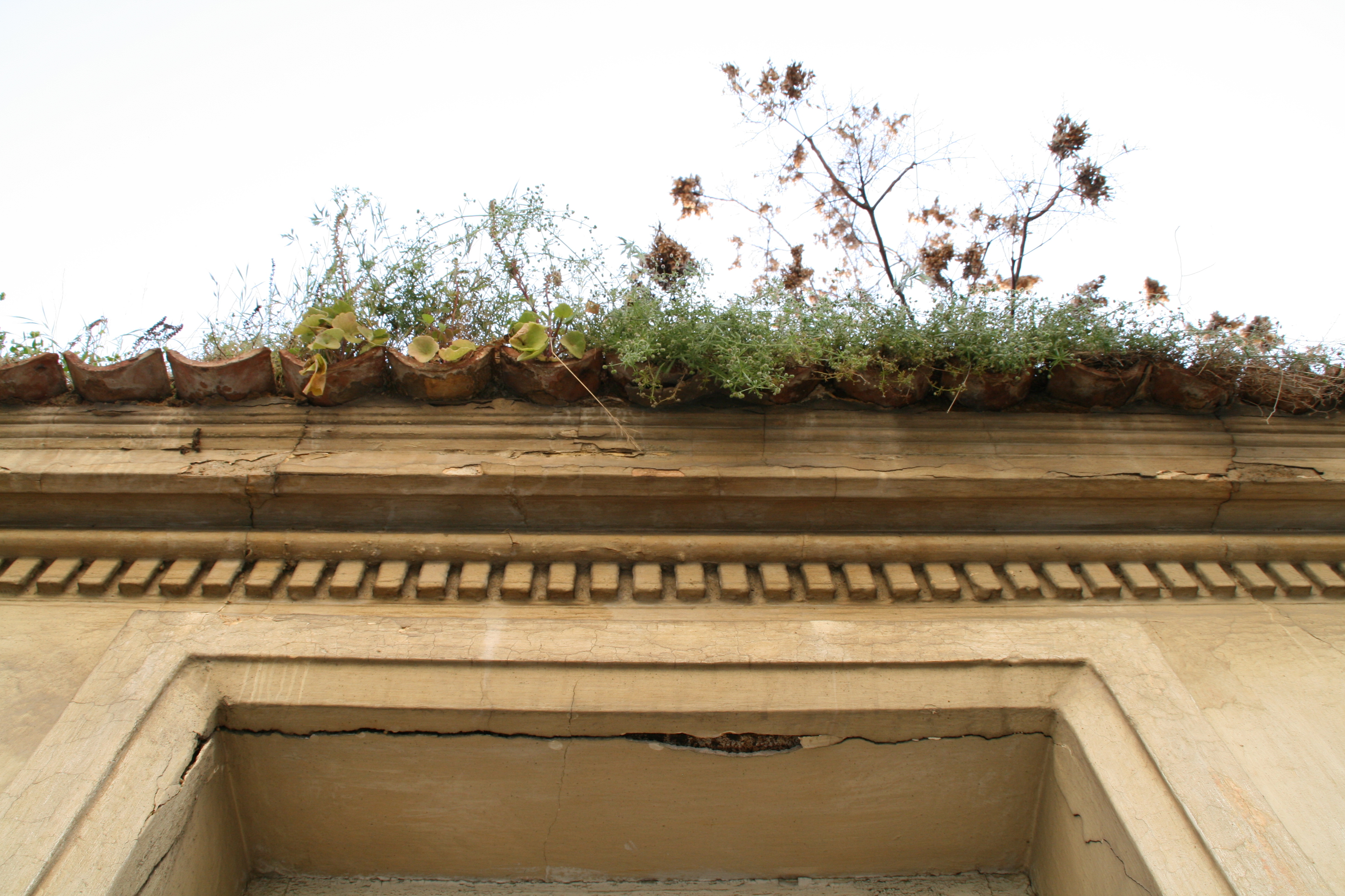 Detail of the window opening and the roof cornice (2014)