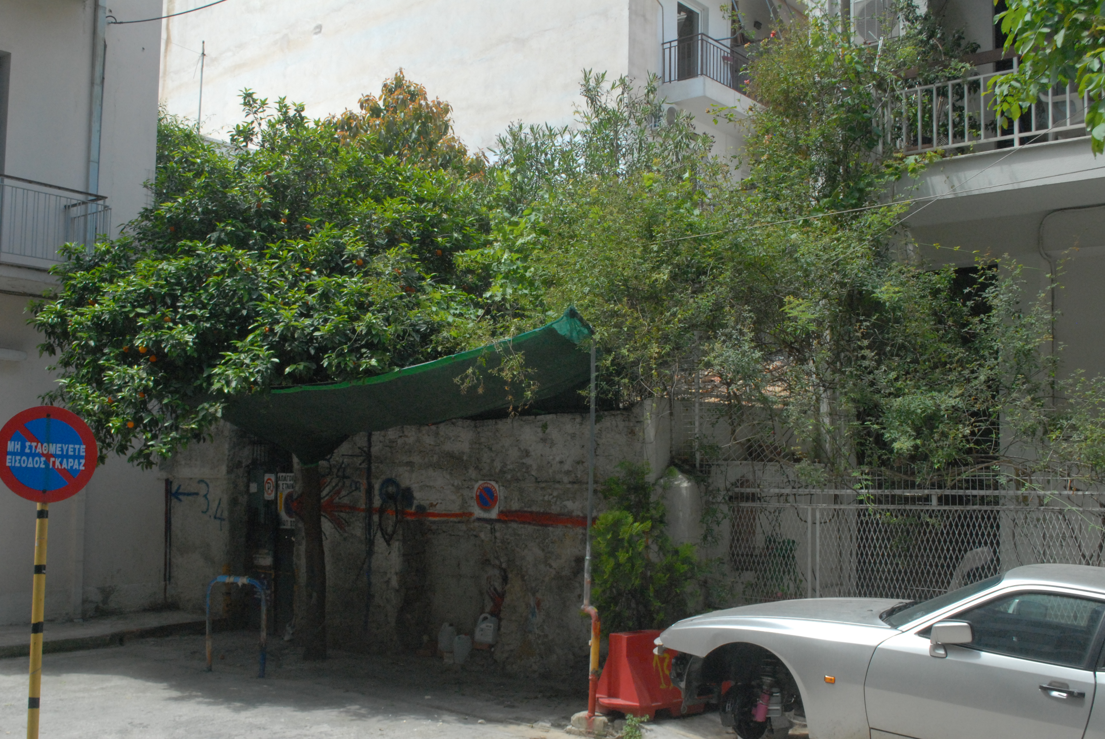Γενική μαντρότοιχου