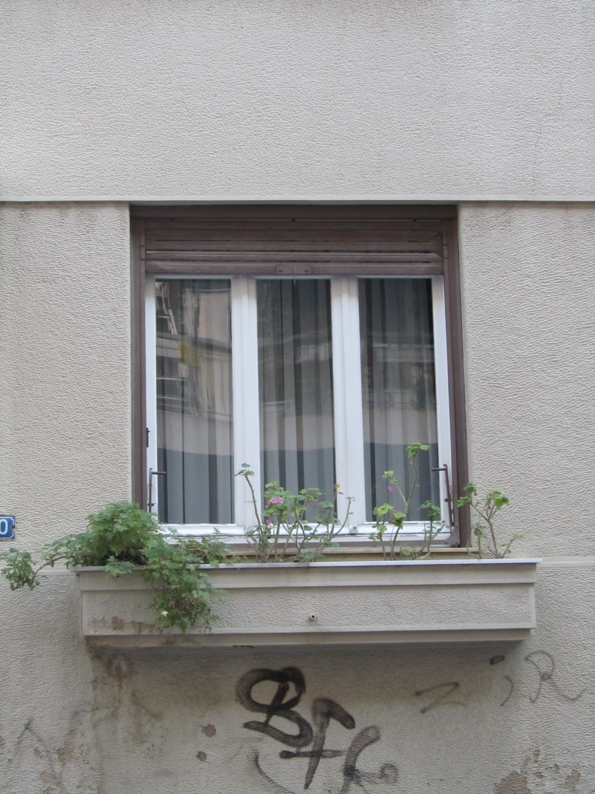 General view of the window (2013)