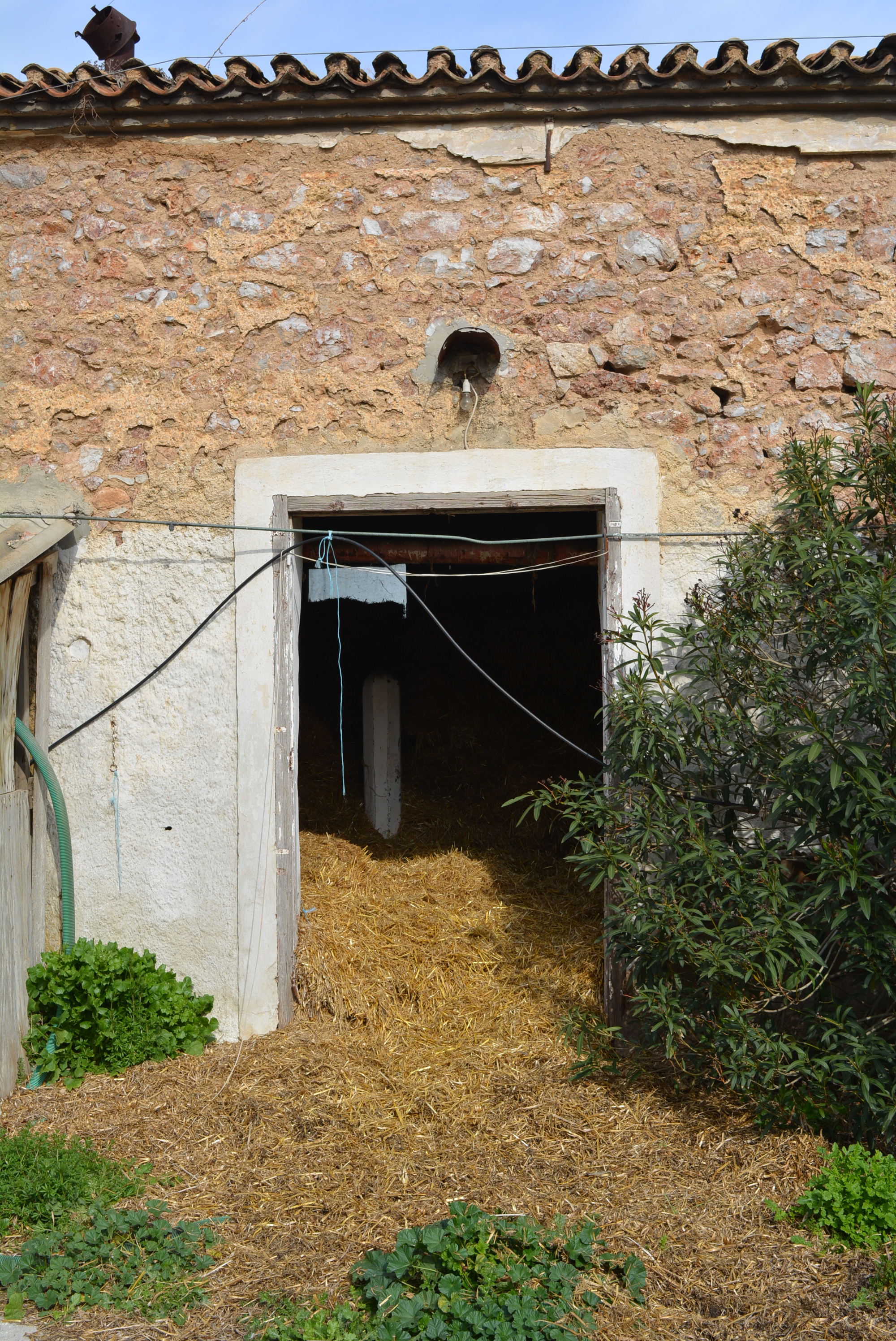 Λεπτομέρεια κύριας όψης